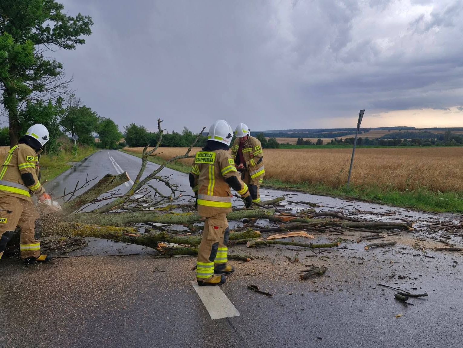 Gm. Żółkiewka. Burza dała o sobie znać. Strażacy usuwali powalone drzewa
