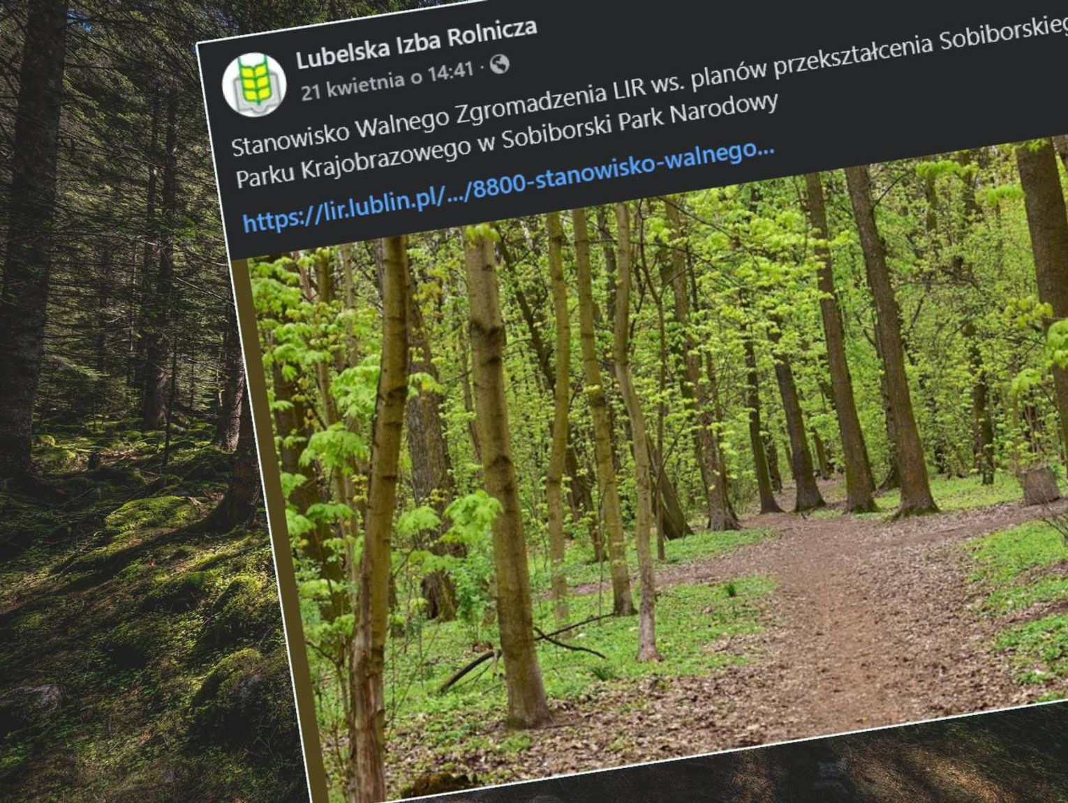 Izba Rolnicza przeciwko tworzeniu parku narodowego w Sobiborze bez konsultacji