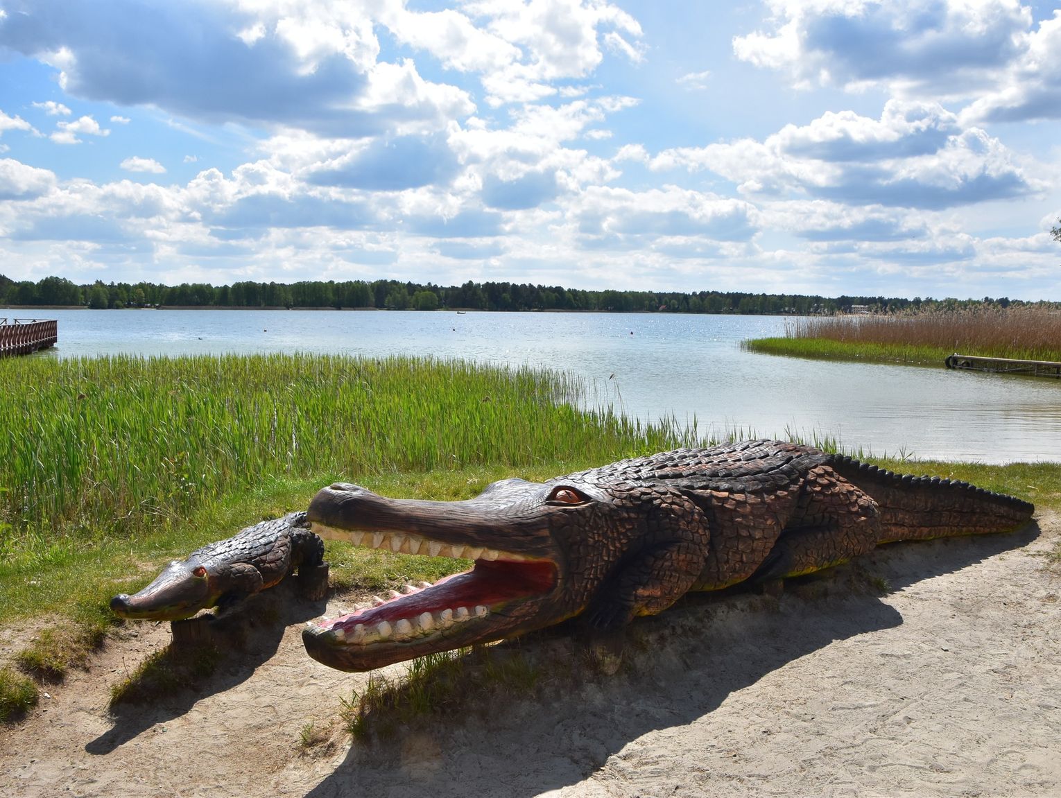 Jest odpowiedź na petycję przedsiębiorców z Okuninki. Wójt przedstawia plany i zaprasza do dialogu