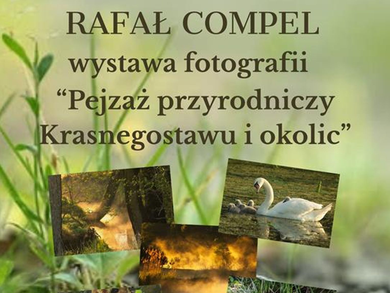 Krasnystaw. Kiedy natura spotyka sztukę