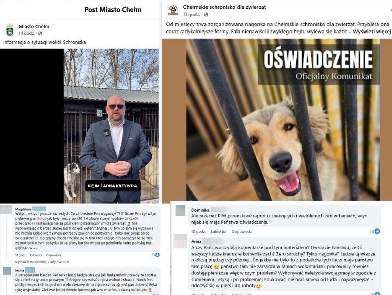 Kryzys wokół schroniska w Chełmie. Magistart: „manipulacja i nieprawdziwe informacje”. Mieszkańcy: „Nie wierzymy”