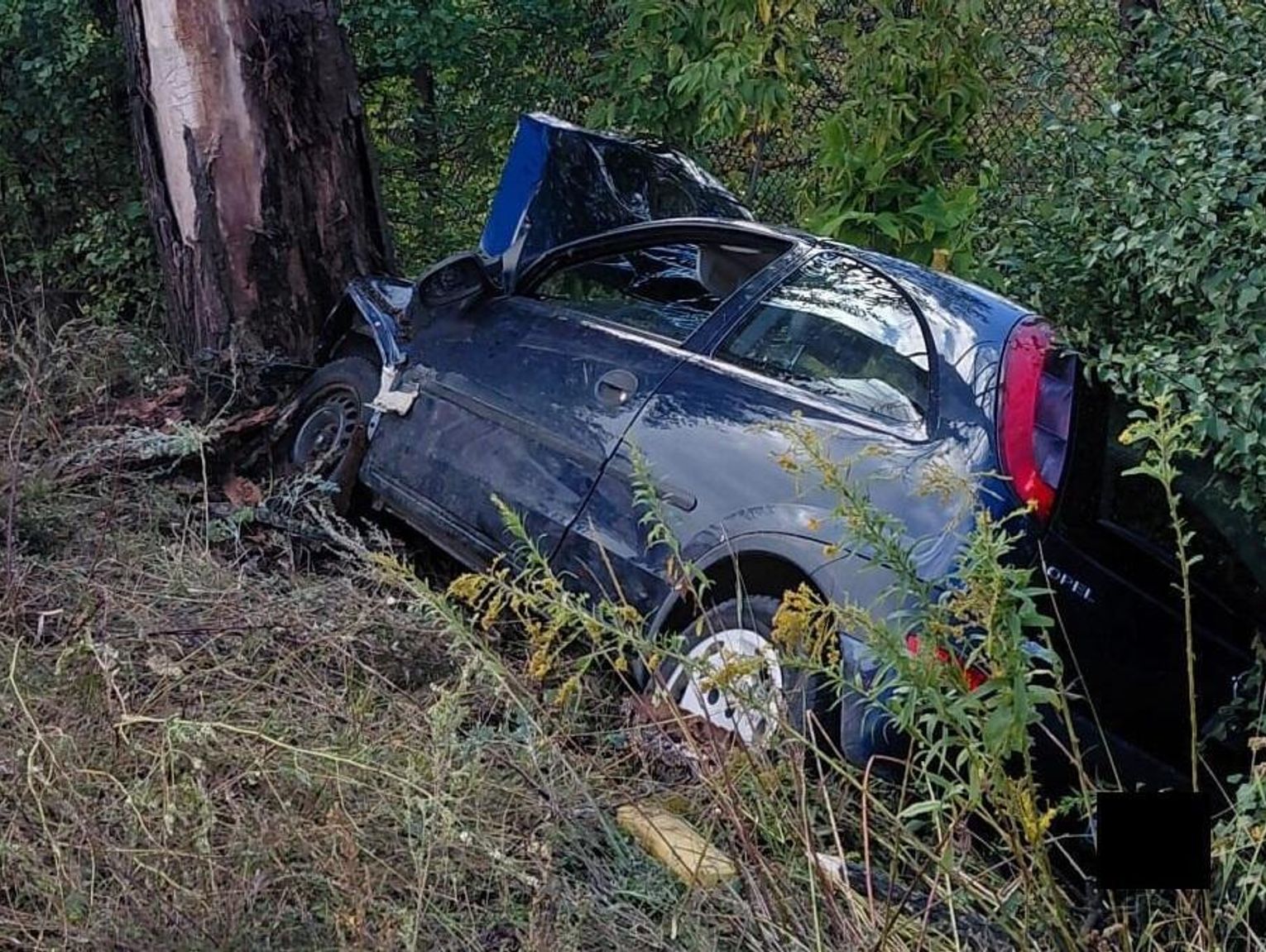 Śmierć na drodze! Stracił panowanie nad autem. Uderzył w ciężarówki i drzewo