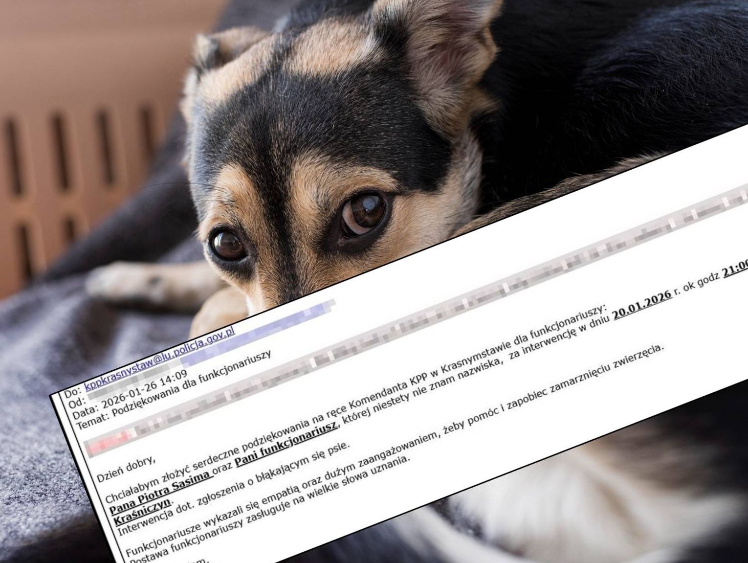 Mieszkanka powiatu krasnostawskiego dziękuje policjantom za uratowanie psa