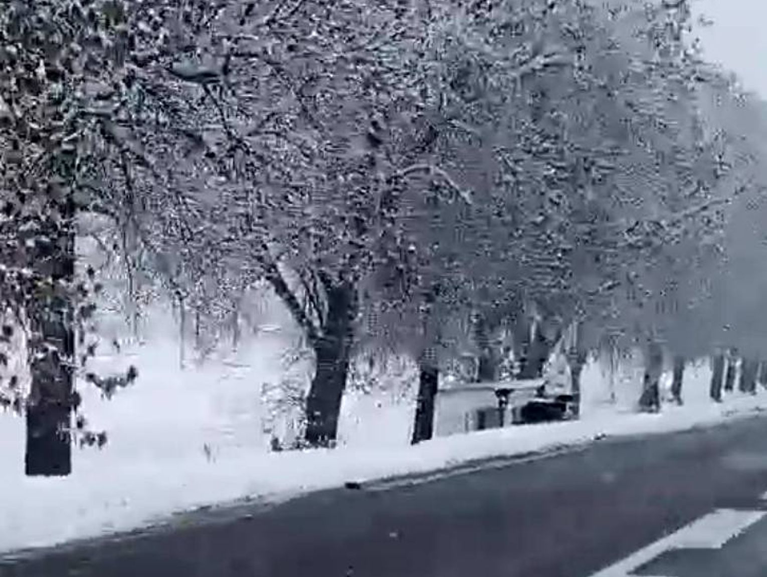 Młody ukraiński kierowca przewrócił dostawczy pojazd w rowie