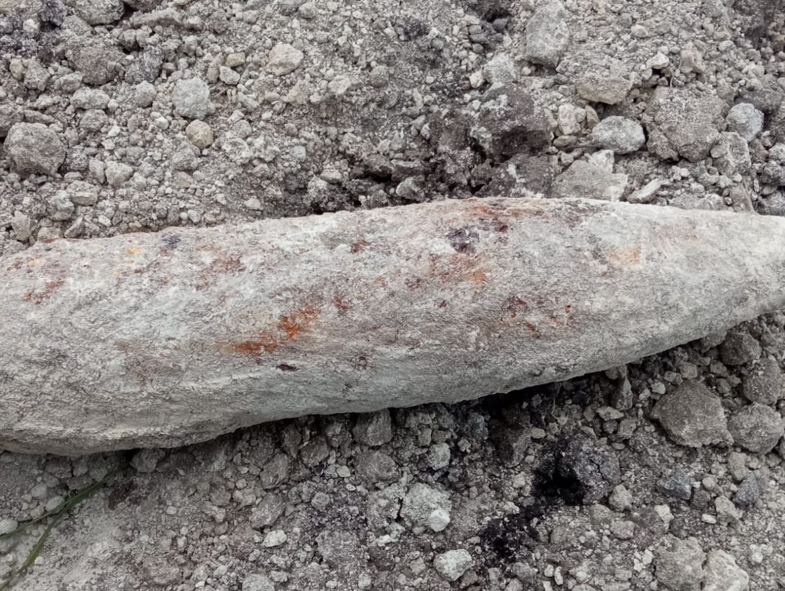 Niebezpieczne znalezisko w Chełmie. 5 pocisków i dwie łuski wykopane przy posesji