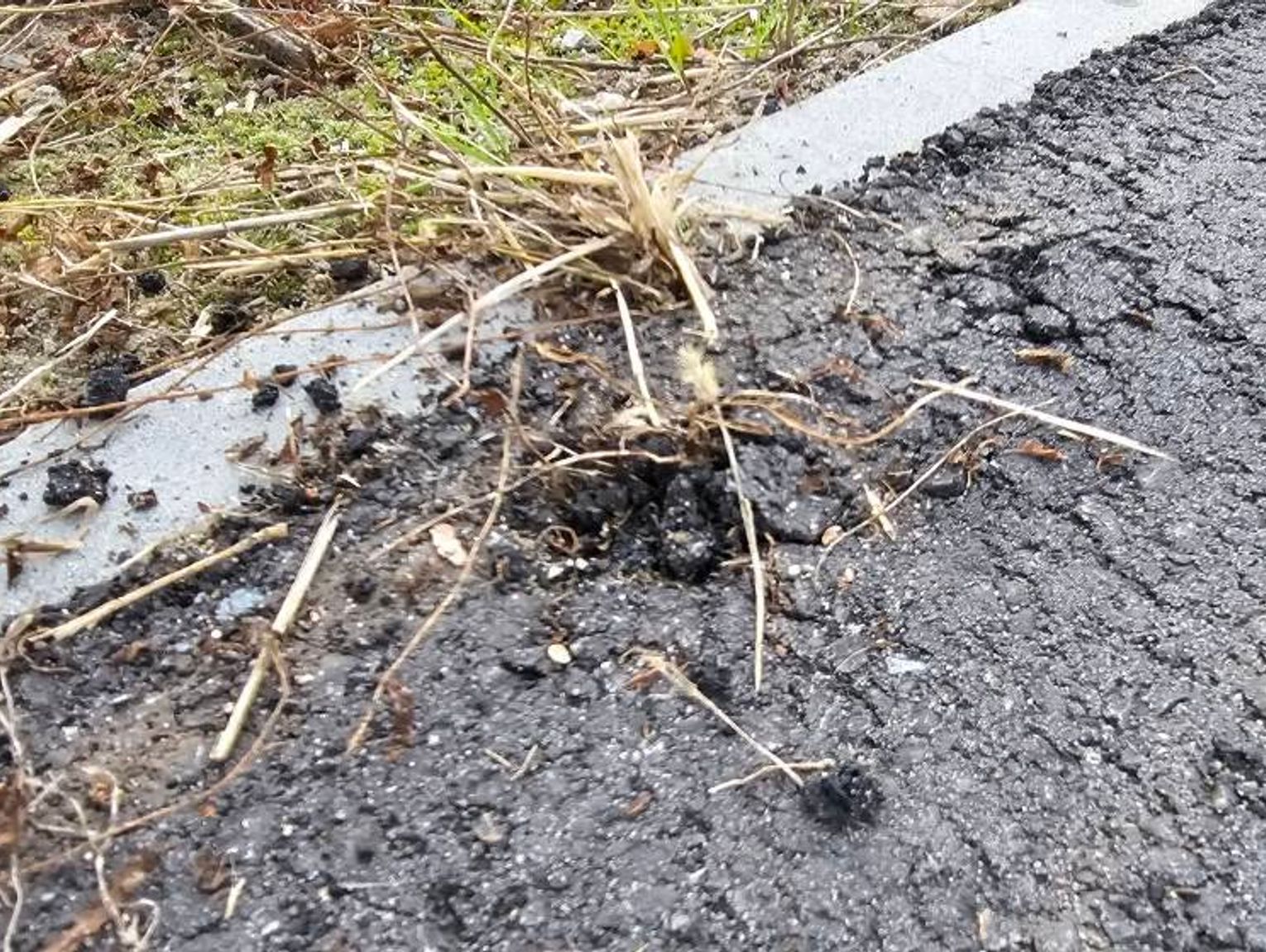 Nowa ścieżka w gminie Sawin już pęka? Mieszkańcy pokazują usterki. Gmina zapowiada interwencję