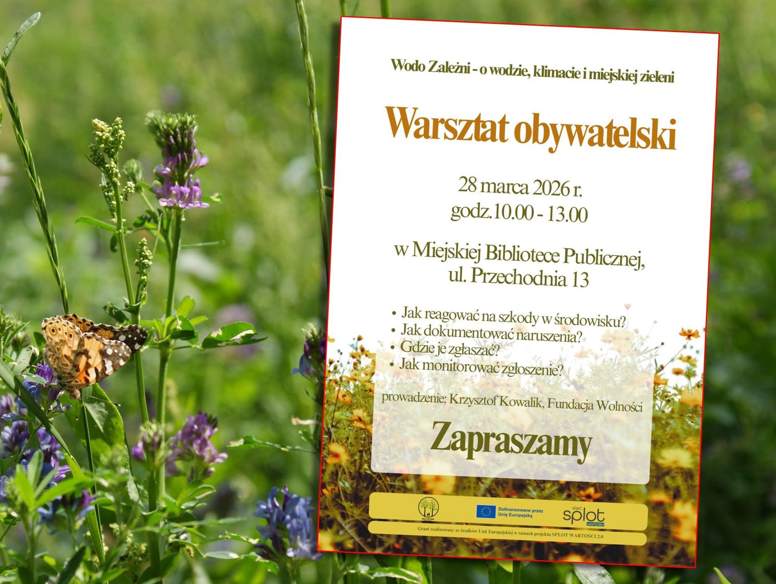 Od narzekania do działania. Włodawianie nauczą się, jak prawnie bronić drzew i klimatu