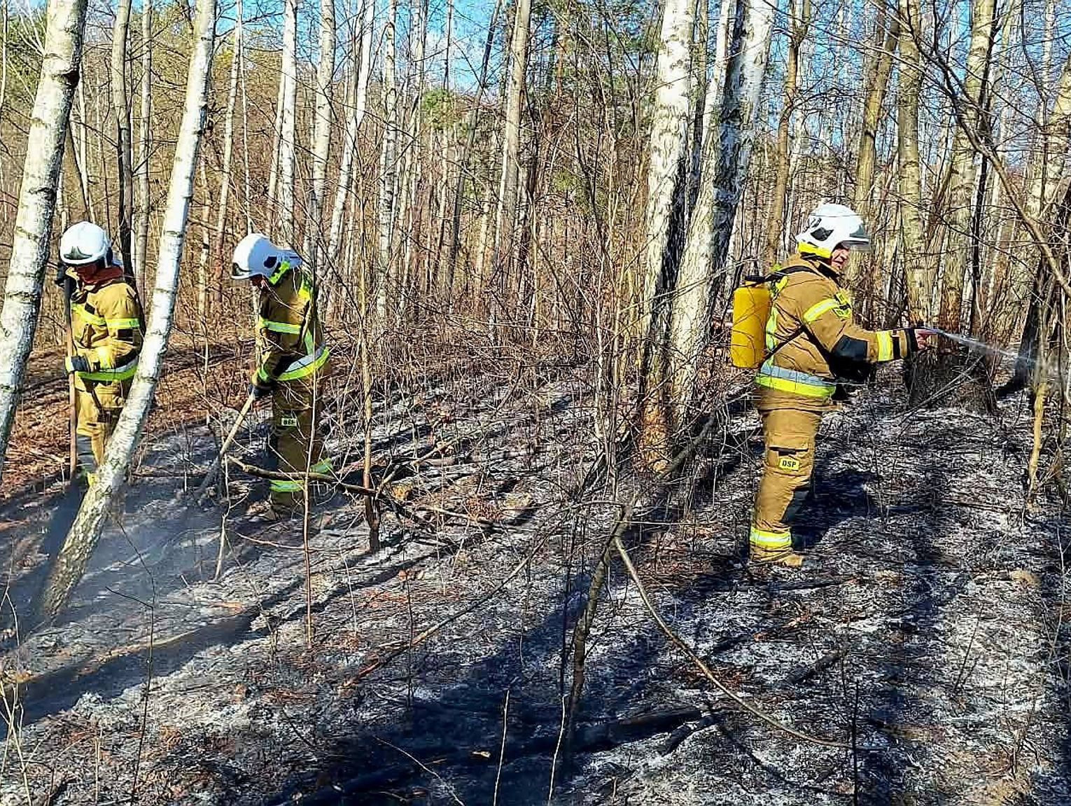 Ogień pełzał w stronę lasu w Bononii! Pilot i strażacy uratowali gminę Goraj przed katastrofą