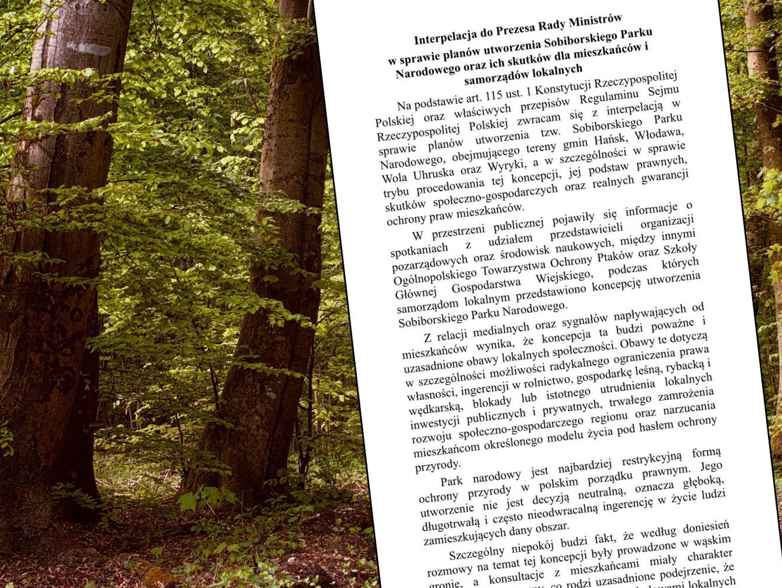 Interpelacja w sprawie Sobiborskiego Parku Narodowego trafiła do premiera. „To głos mieszkańców”