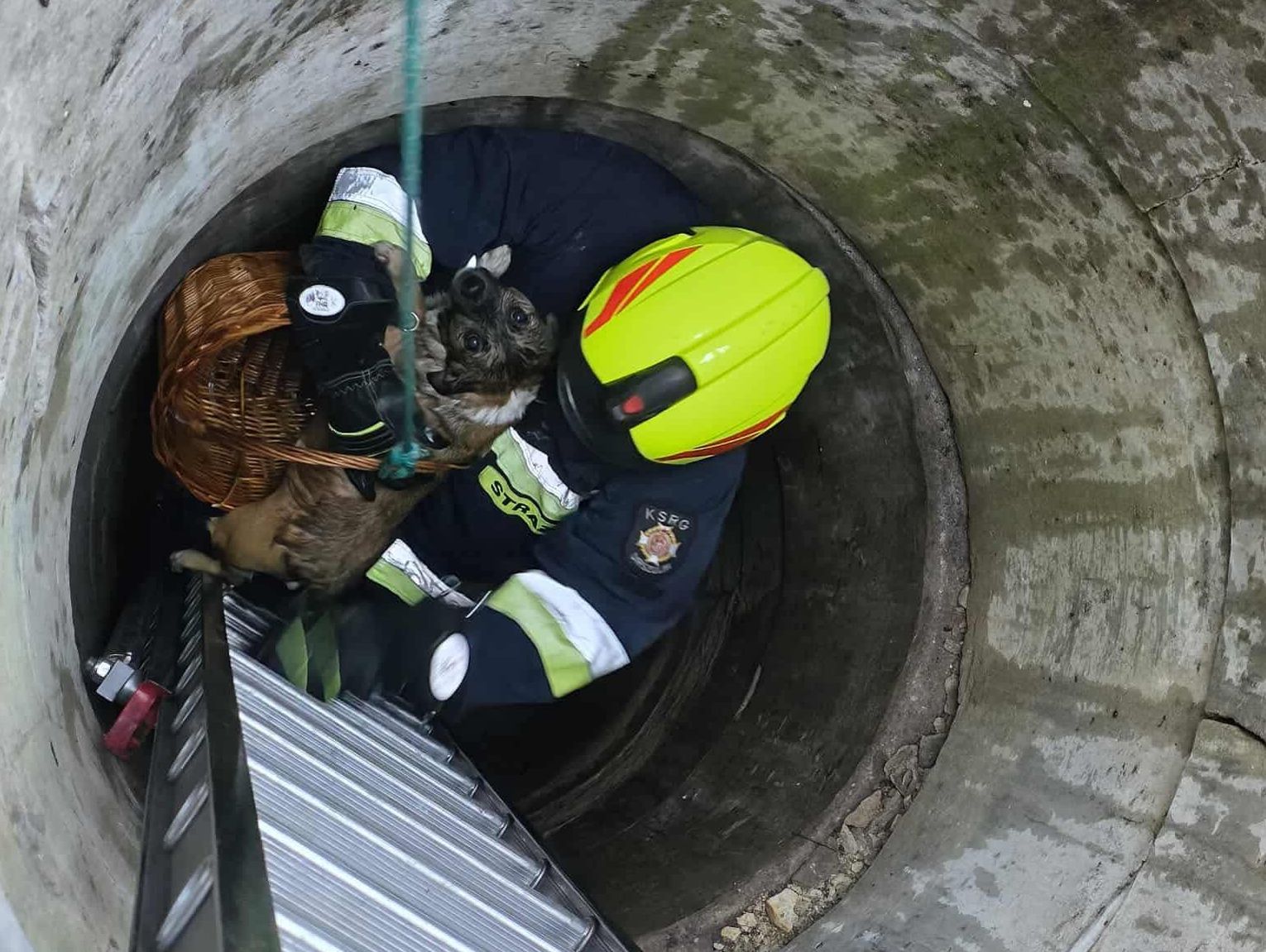 Pies utknął 9 metrów pod ziemią – strażacy z Urszulina ruszyli na pomoc