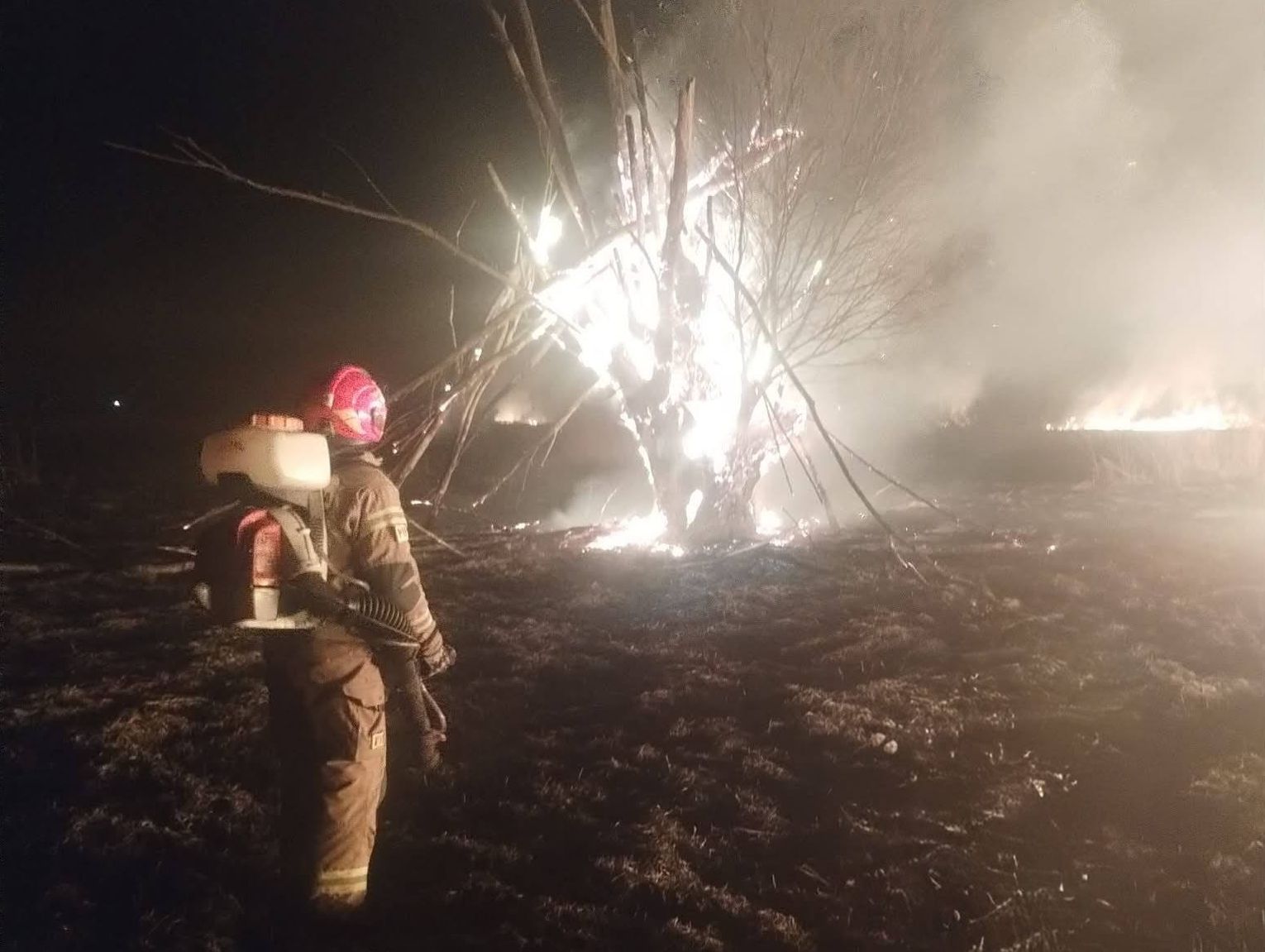 Płonęło 30 hektarów nieużytków. Strażacy walczyli z ogniem przez całą noc!