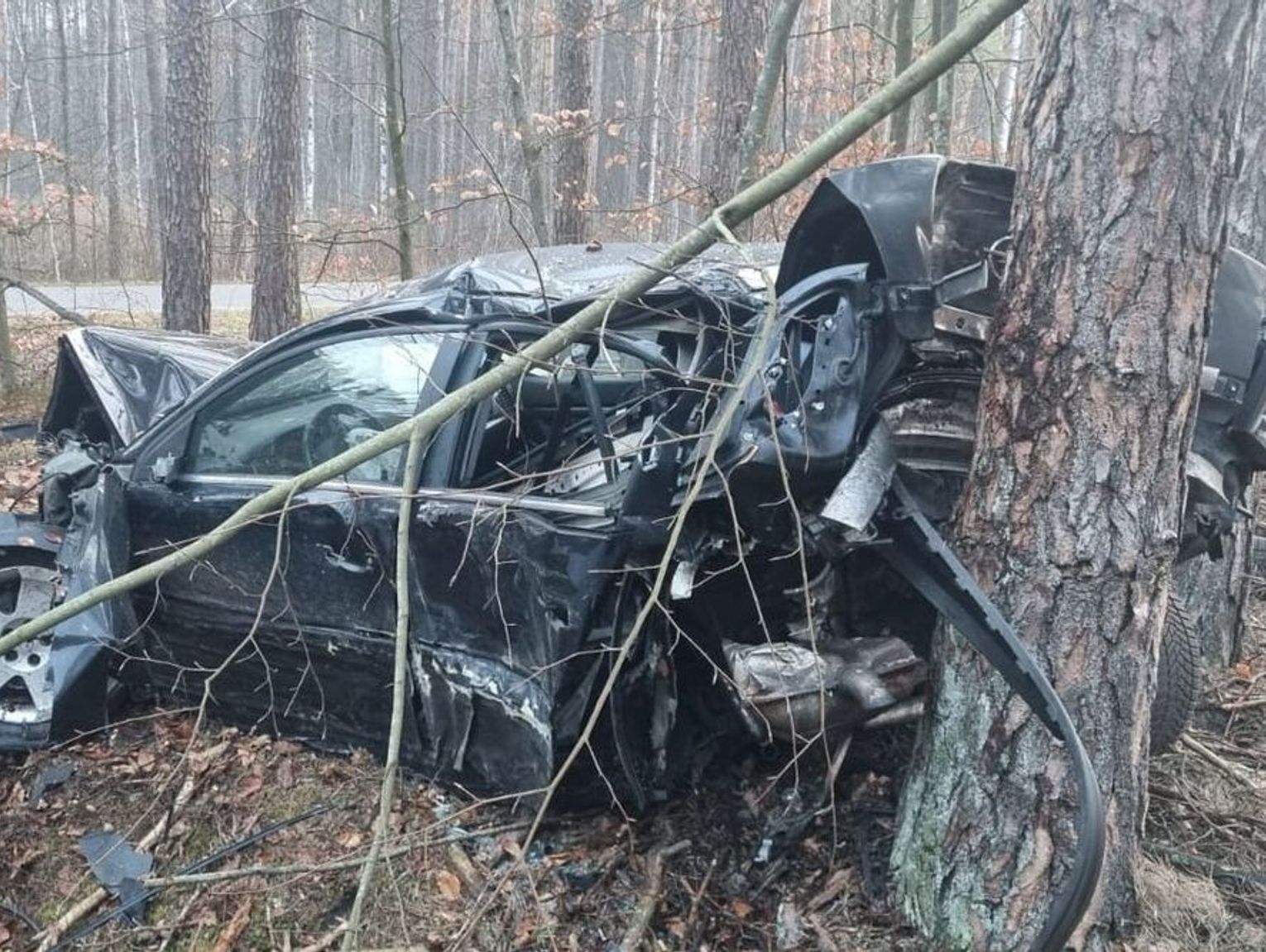 Pow. włodawski. Chciał ominąć sarnę- skończył na drzewie