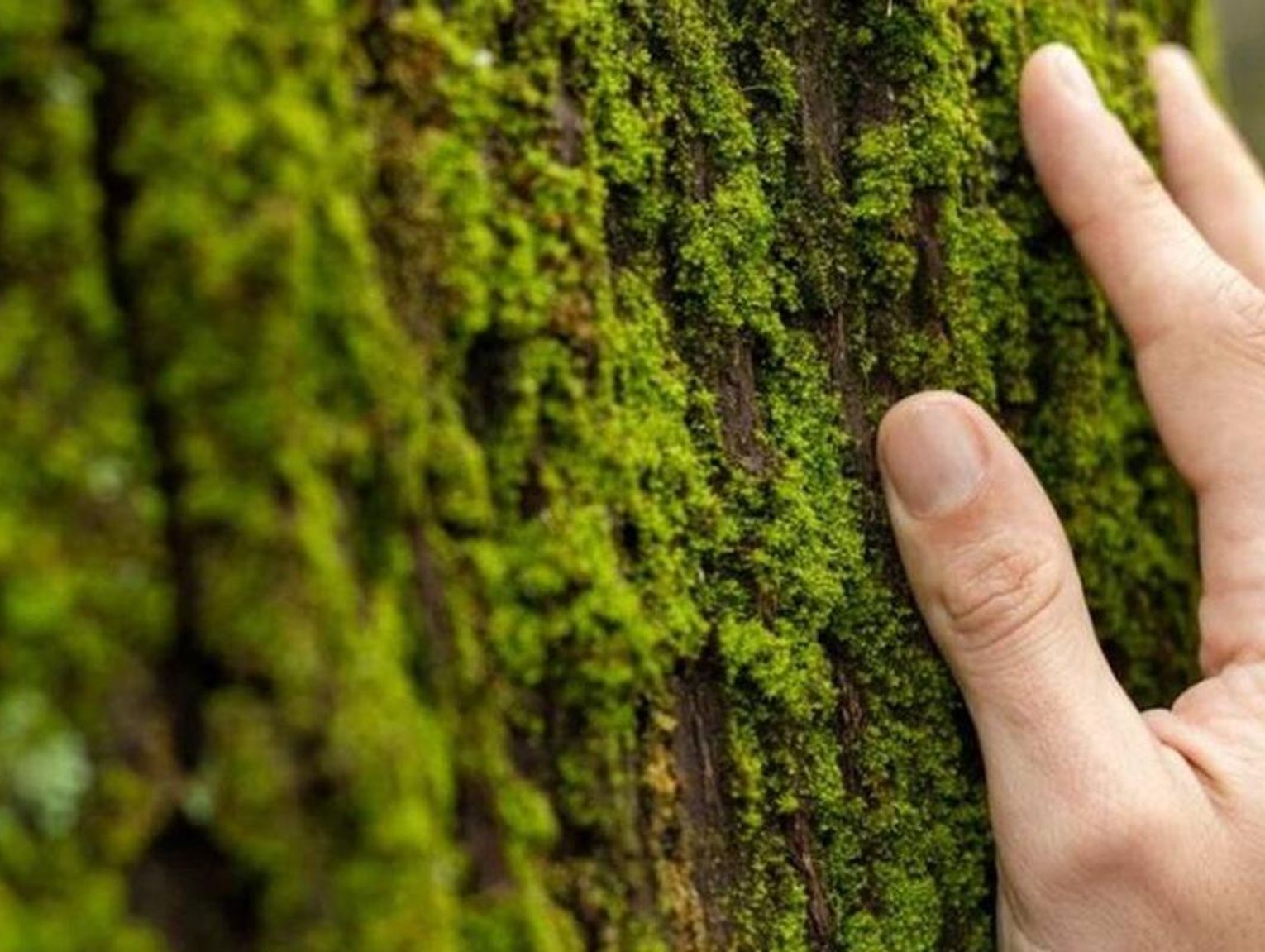 Pow. włodawski. Sobiborski Park Narodowy coraz bliżej?
