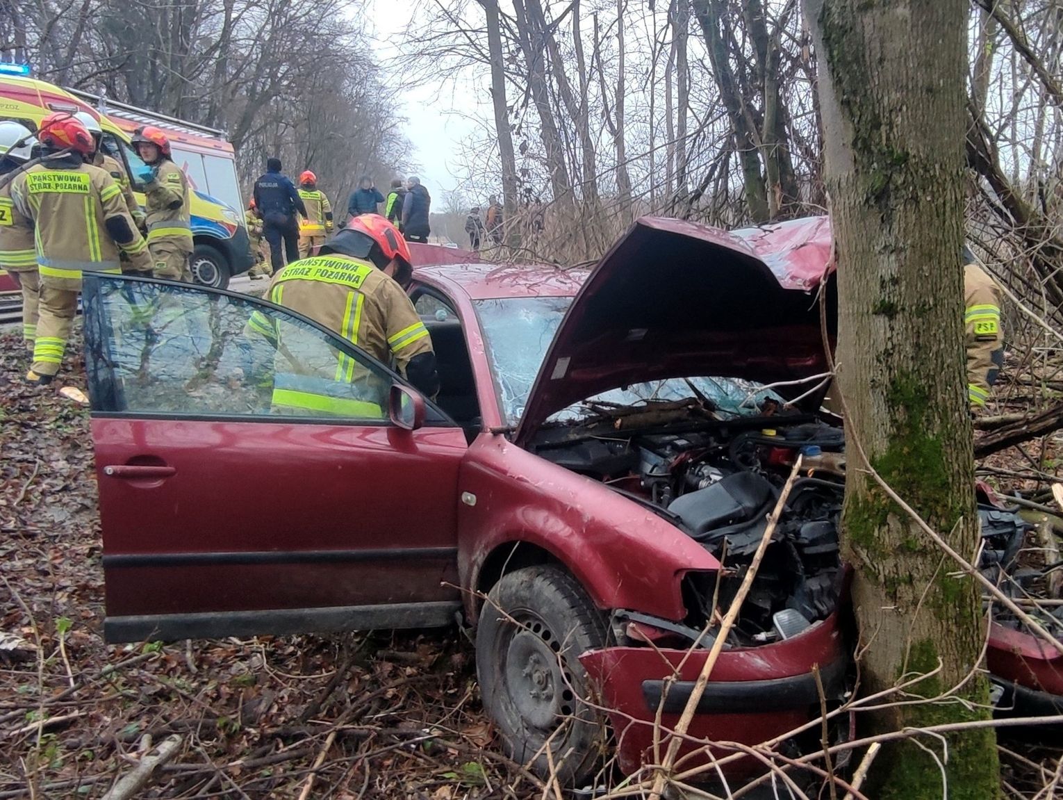 Samochód uderzył w drzewo. Kierowca przetransportowany do szpitala śmigłowcem LPR [ZDJĘCIA]