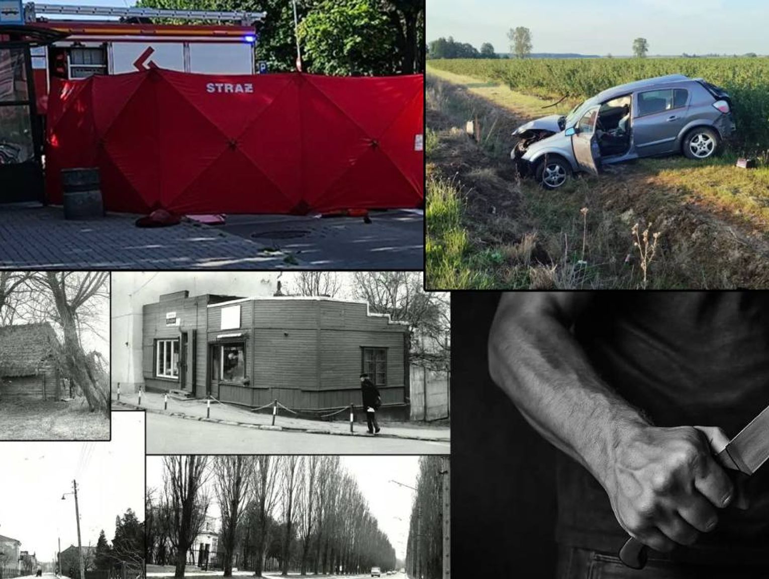 Przegląd informacji z 16 czerwca 2025. Chełm, Krasnystaw, Włodawa