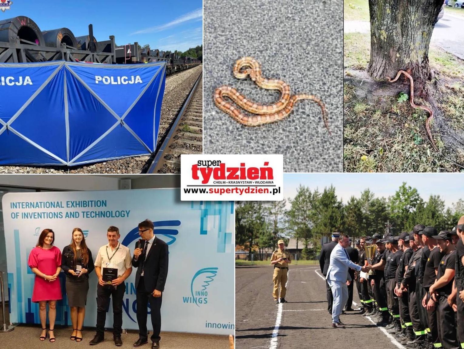 Przegląd informacji z 22 czerwca 2026. Chełm, Krasnystaw, Włodawa