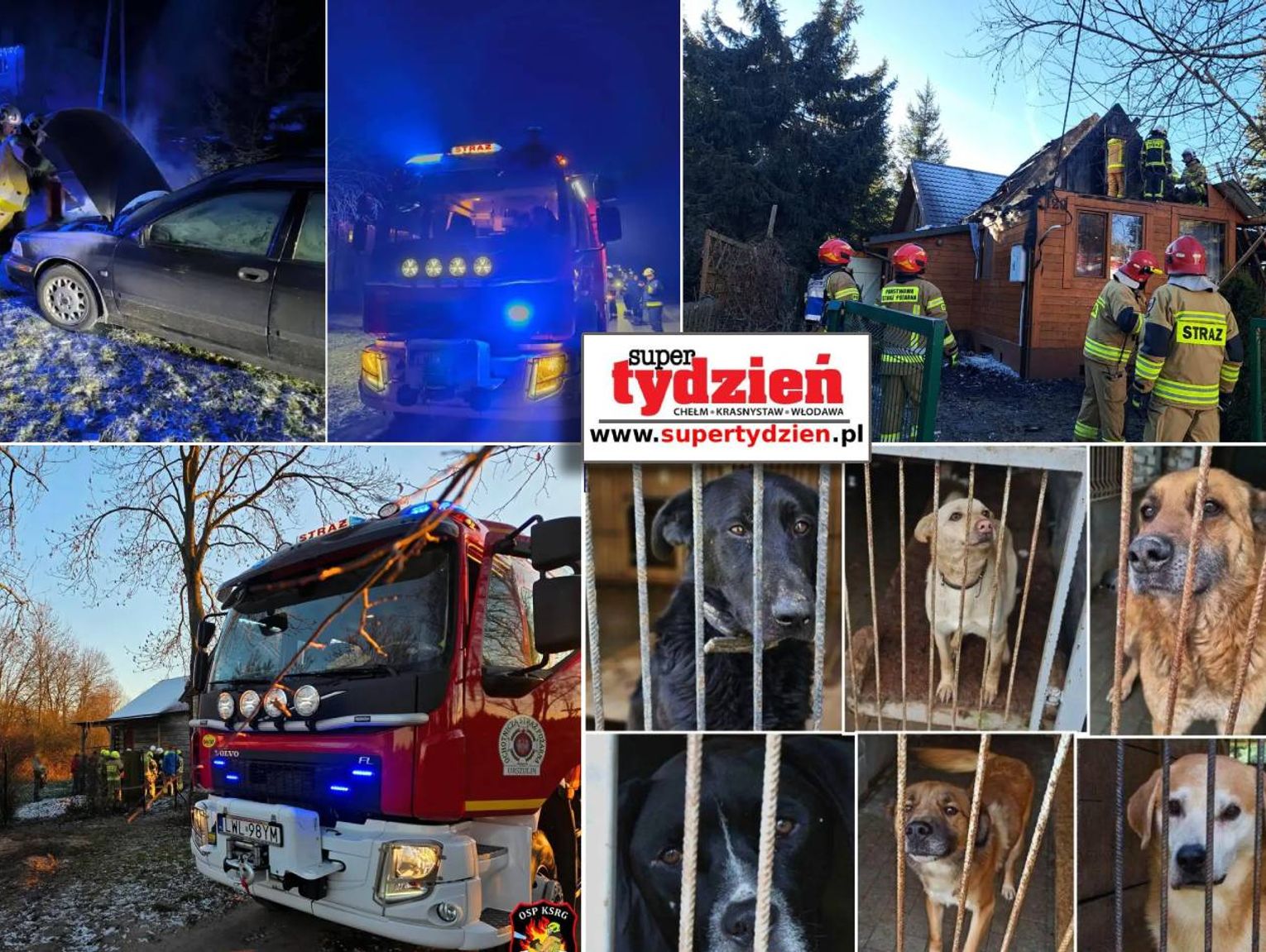 Przegląd informacji z 25 grudnia 2025. Chełm, Krasnystaw, Włodawa