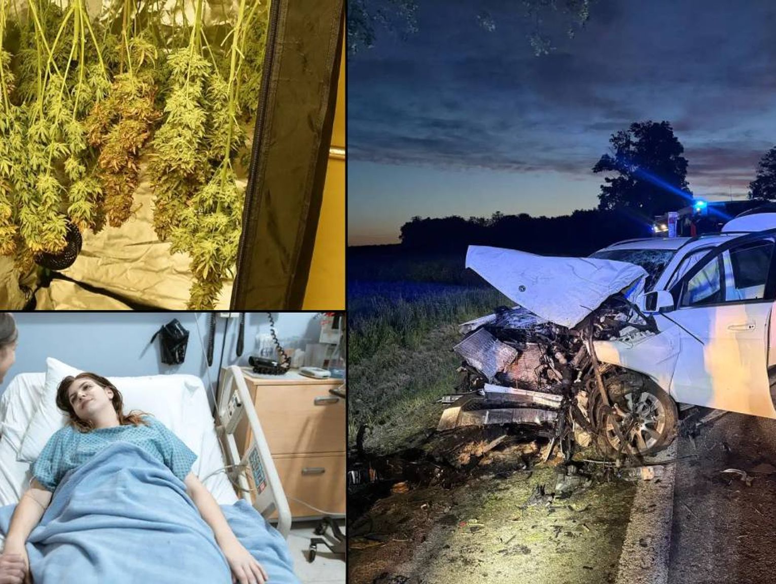 Przegląd informacji z 27 maja 2025. Chełm, Krasnystaw, Włodawa