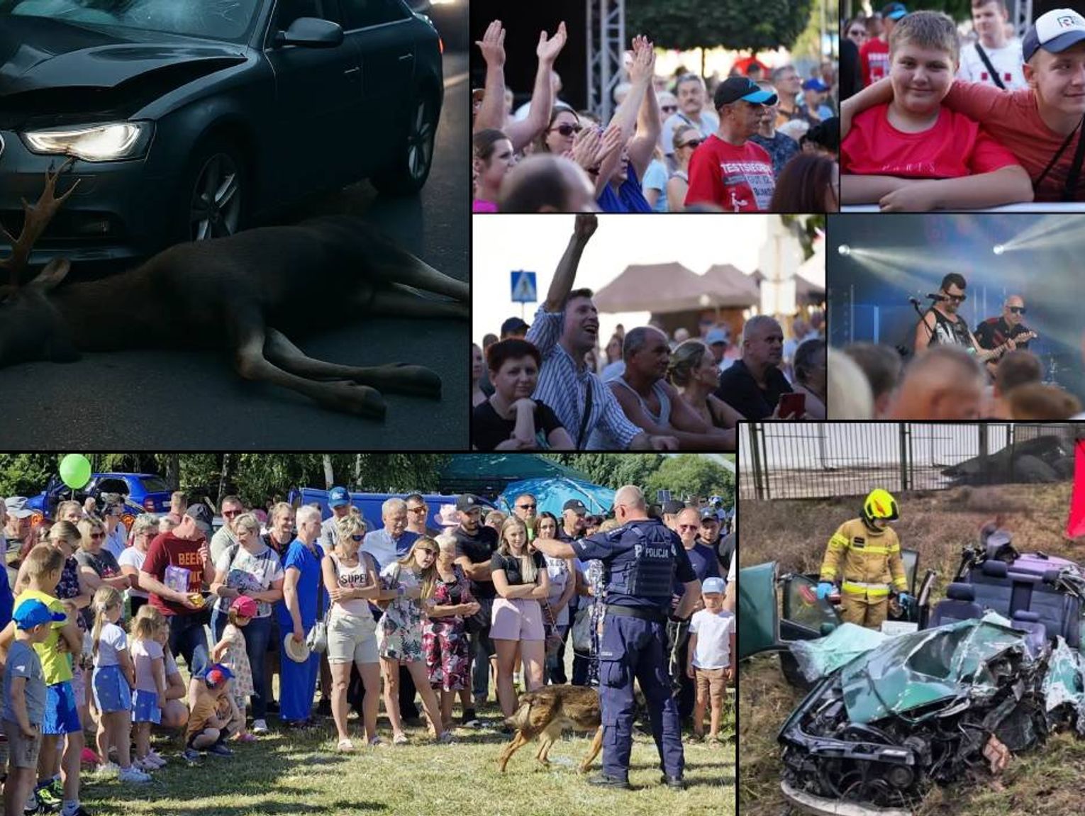 Przegląd informacji z 5 lipca 2025. Chełm, Krasnystaw, Włodawa