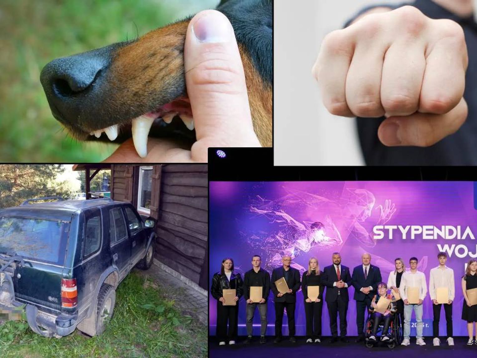 Przegląd informacji z 7 maja 2025. Chełm, Krasnystaw, Włodawa