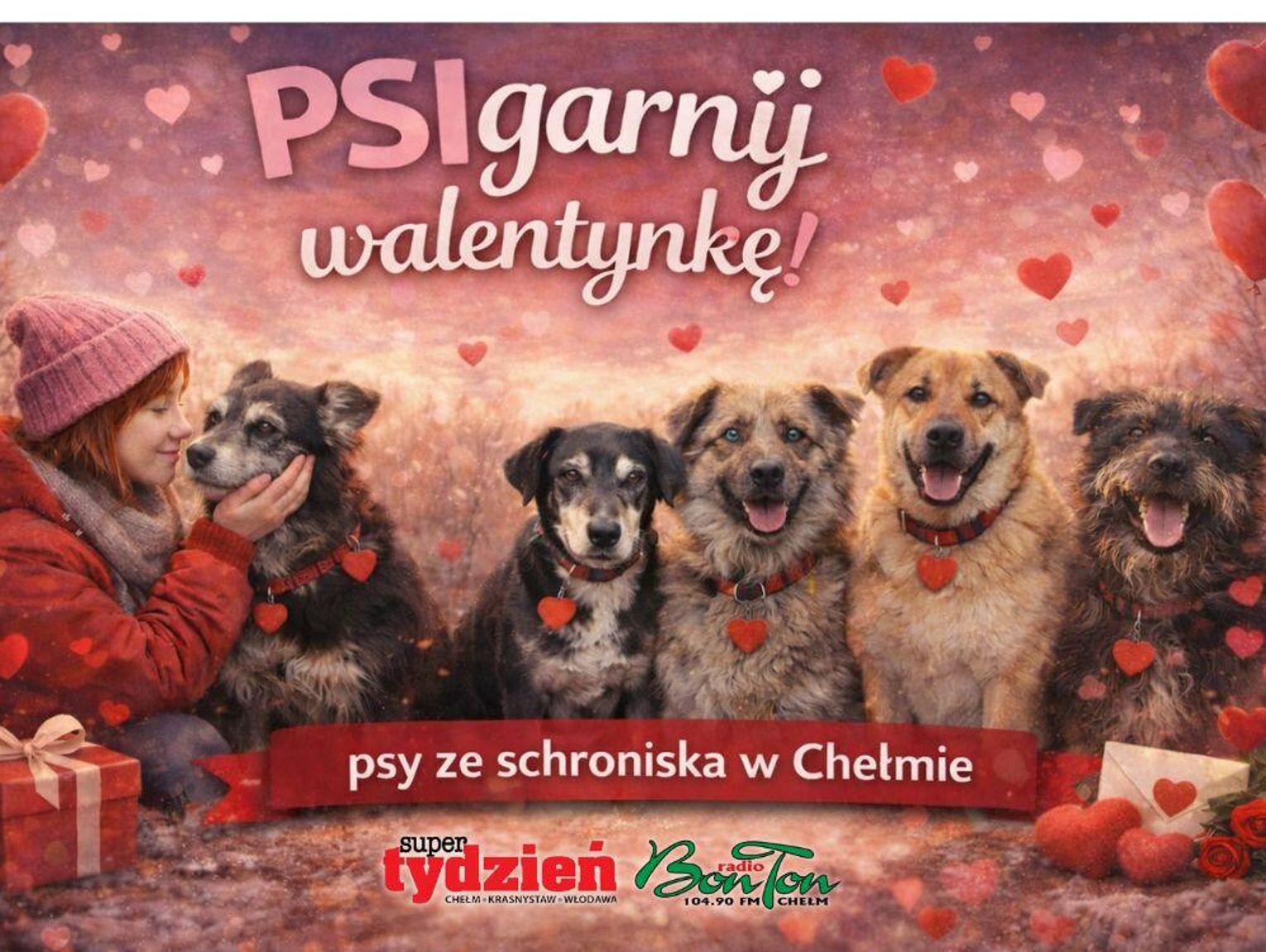 „PSIgarnij walentynkę”. Adopcja z sercem, ale przede wszystkim z głową. Te pieski czekają na Was w chełmskim schronisku [GALERIA ZDJĘĆ]