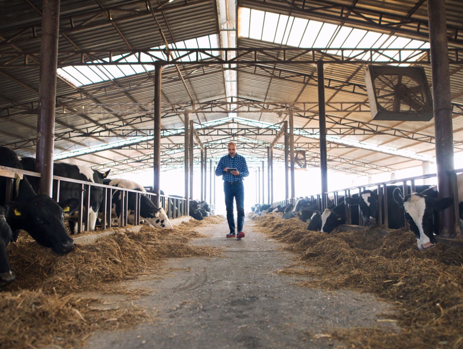 Region. Kto i w jakim zakresie będzie odporny na kryzys? Właściciele hodowli zatroskani o los swoich zwierząt