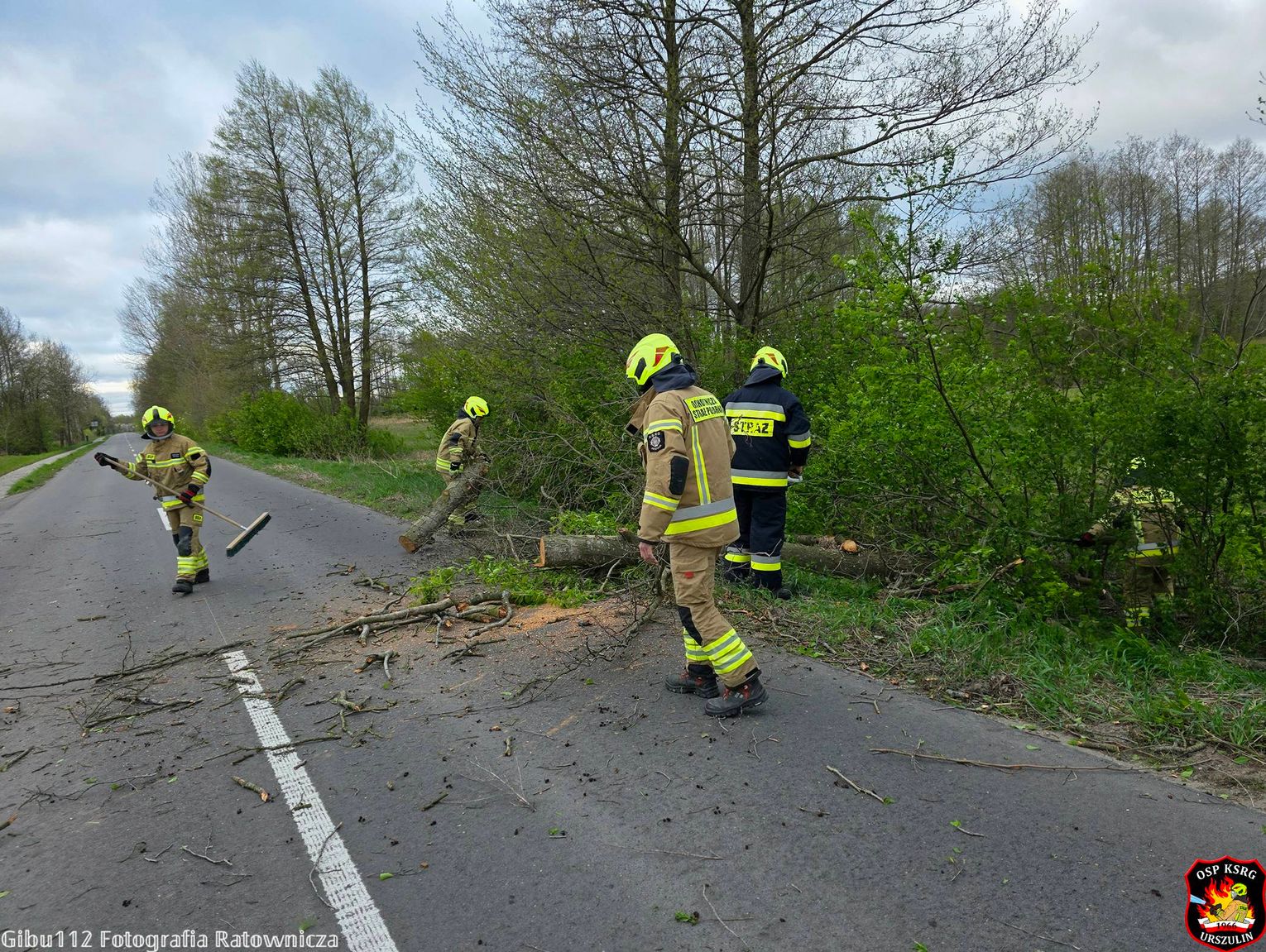 Region. Wichury znów powalają drzewa. Jedno spadło na auto. Ranny kierowca zabrany do szpitala
