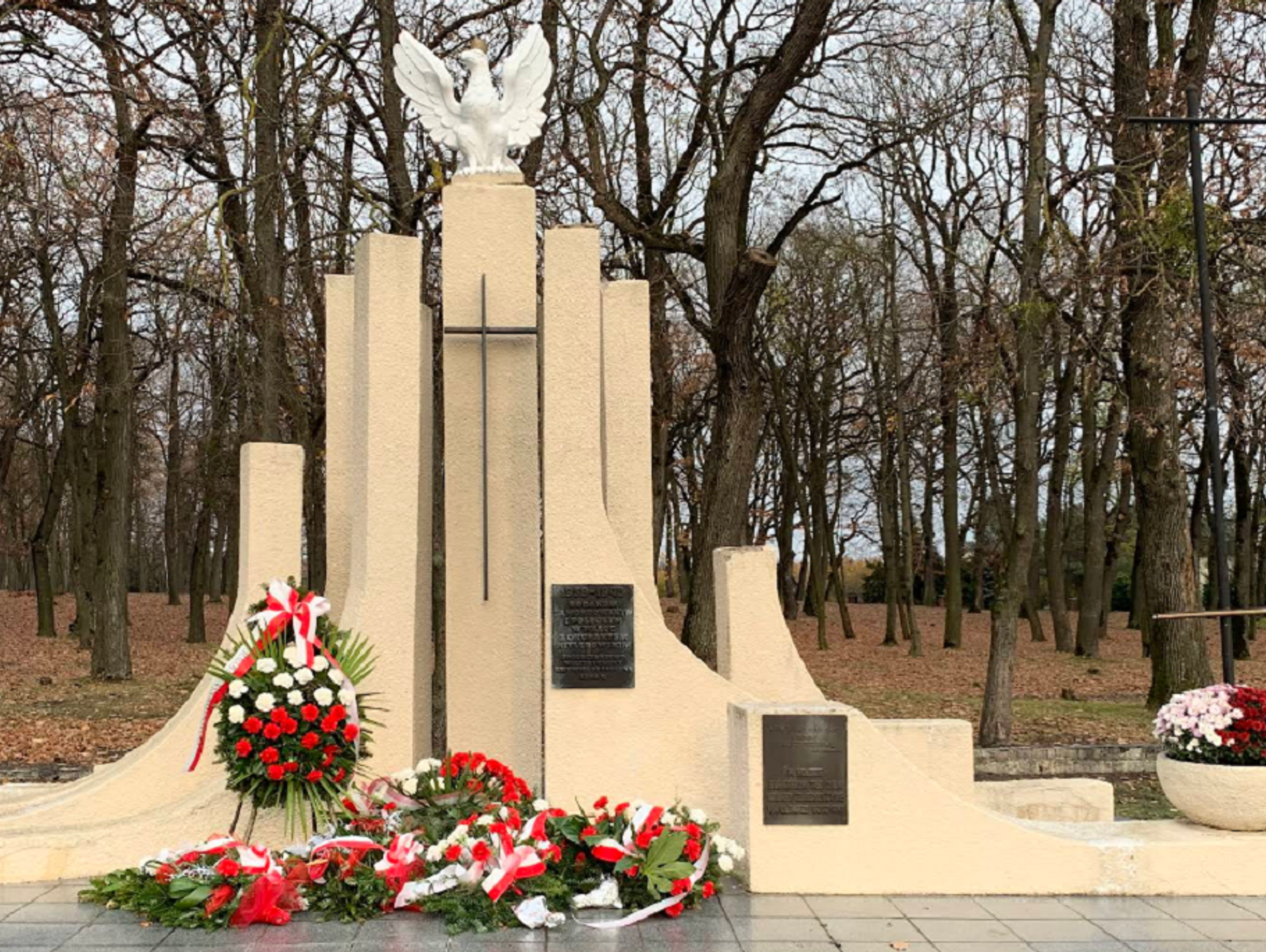 Rejowiec Fabryczny. Co z bezpieczeństwem przy szkole? Radni naciskają na pilne działania