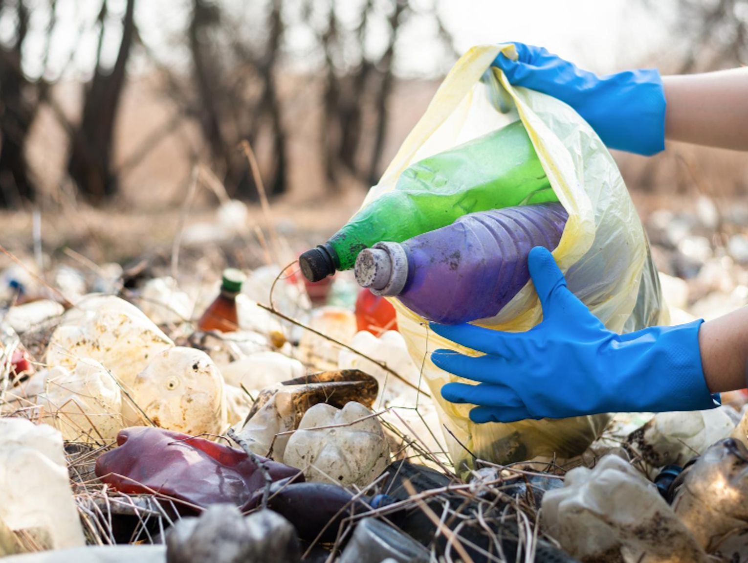 Rejowiec Fabryczny. Dochody są wyższe od wydatków, ale stawki za odpady nie pójdą w dół