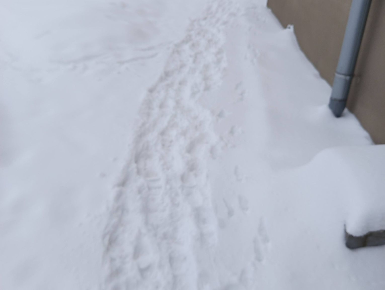 Rejowiec Fabryczny. Tak miasto walczy z ciężką zimą. Nie wszyscy są zadowoleni z pracy samorządowych służb.