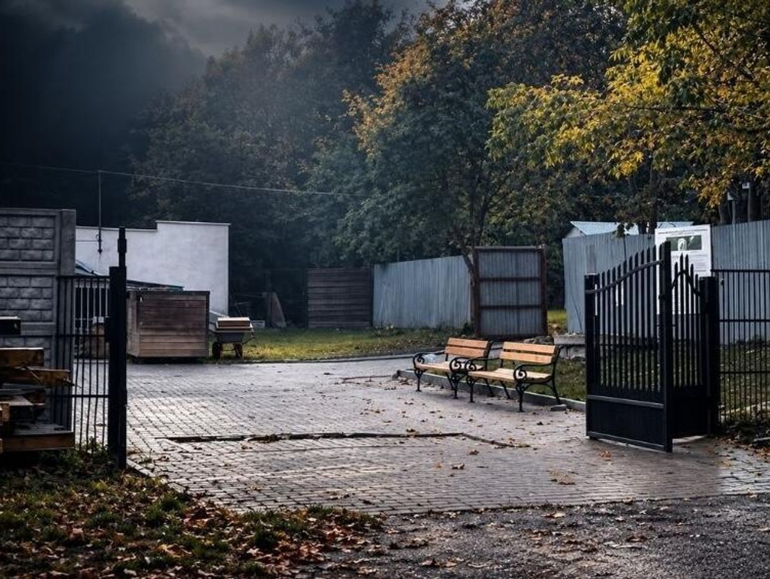Śmierć Goi w chełmskim schronisku. Miasto zawiadomiło policję, weterynaria przeprowadziła kontrolę