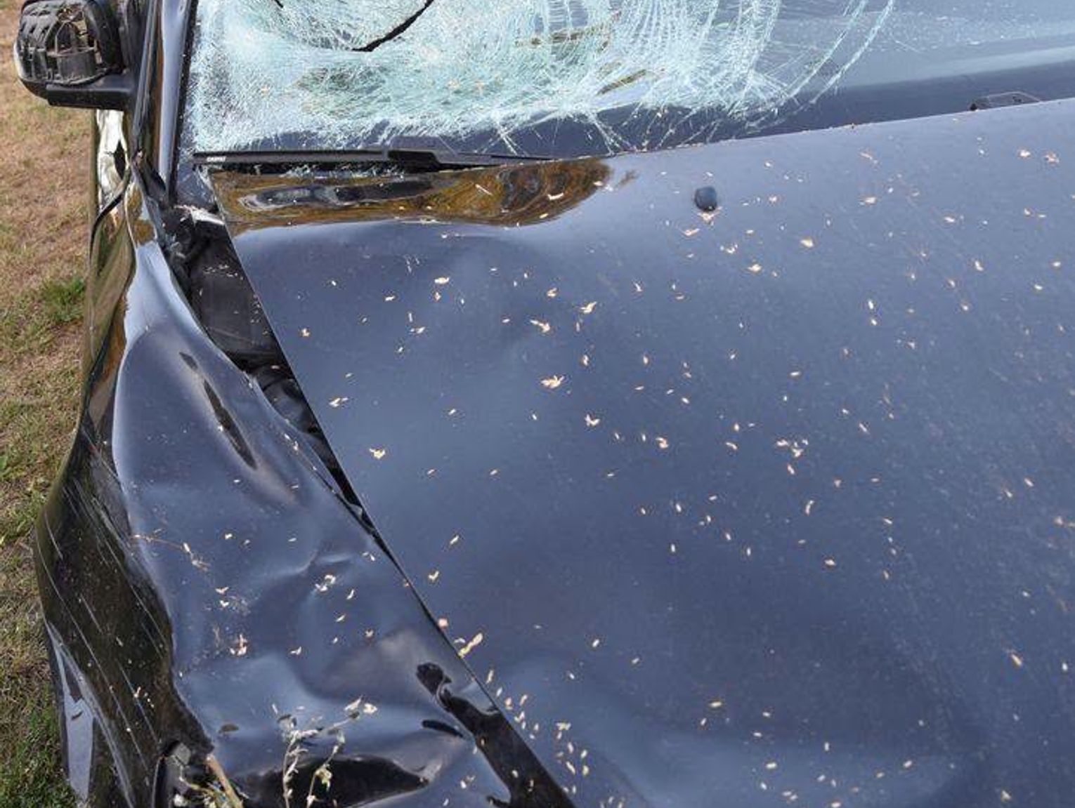 Śmierć na drodze i ucieczka. Jest tymczasowy areszt!