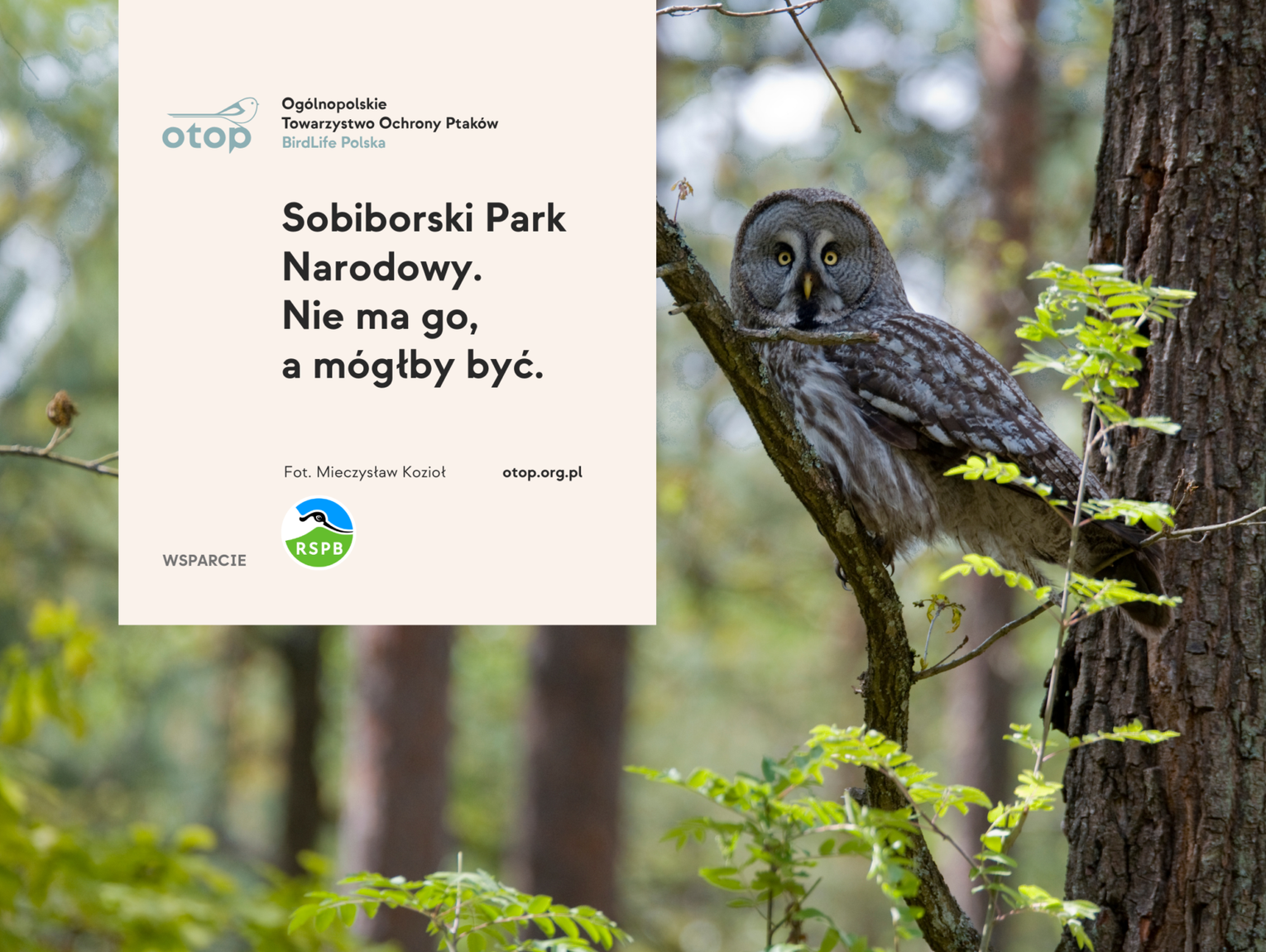 Sobiborski Park Narodowy: ruszają wyjazdy studyjne i otwarte spotkania z mieszkańcami