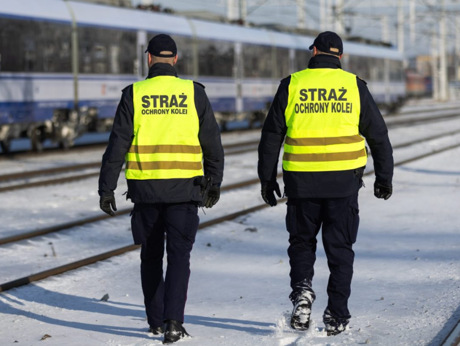 Straż Ochrony Kolei poszukuje sokistów. Można zarobić 8 tysięcy złotych