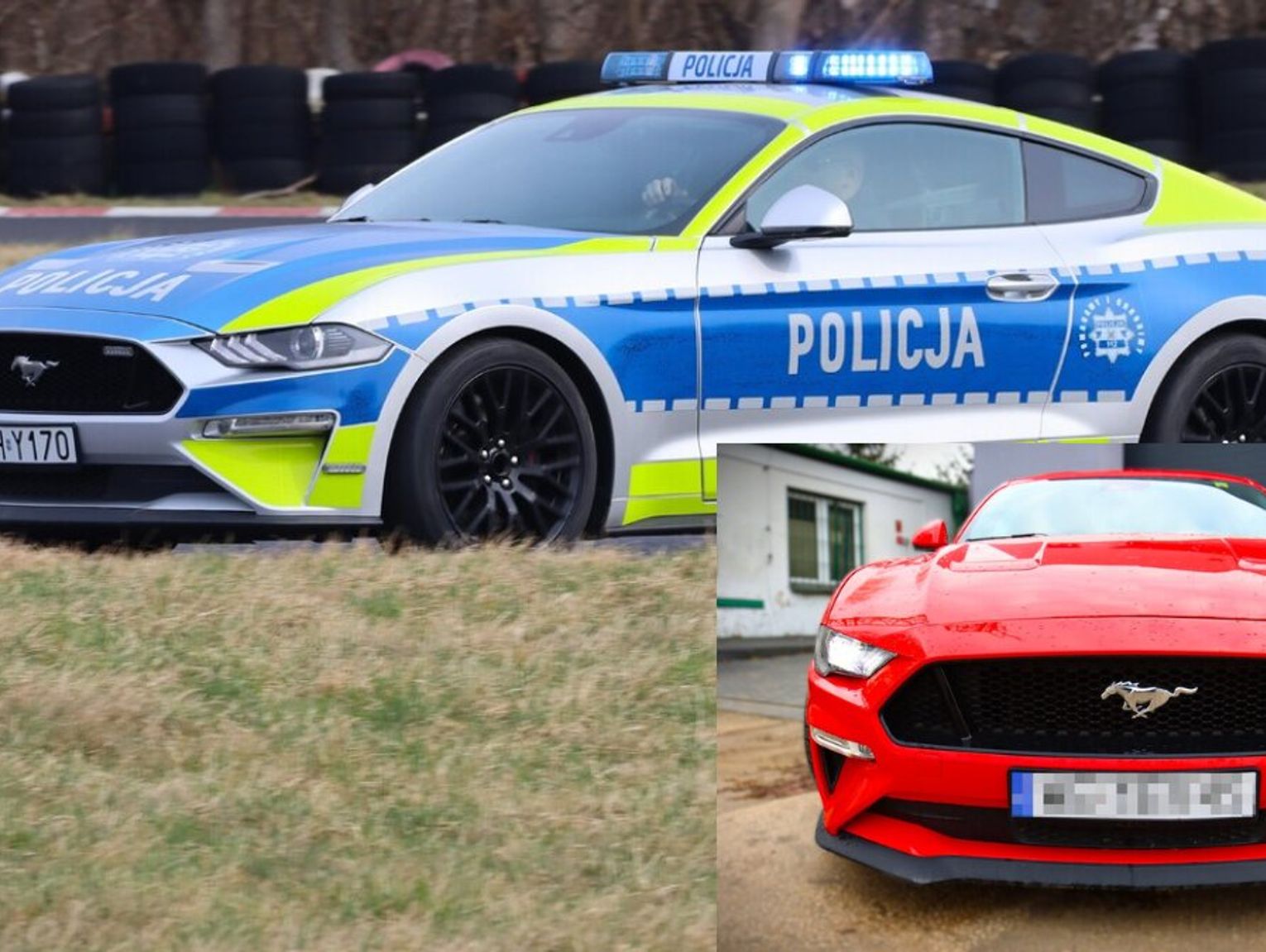 Sportowy Mustang będzie teraz ścigał piratów drogowych