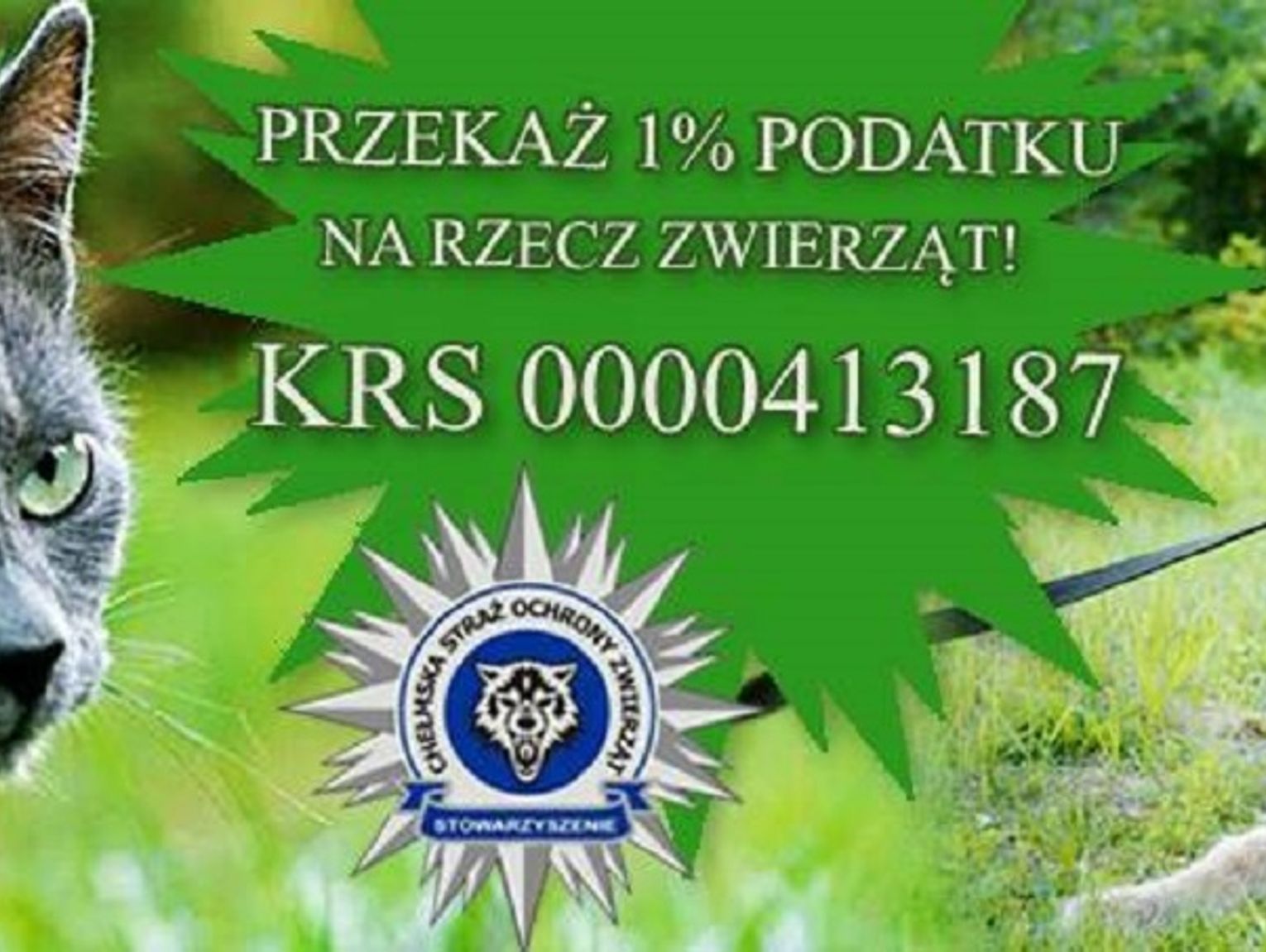 Straż dla zwierząt potrzebuje wsparcia