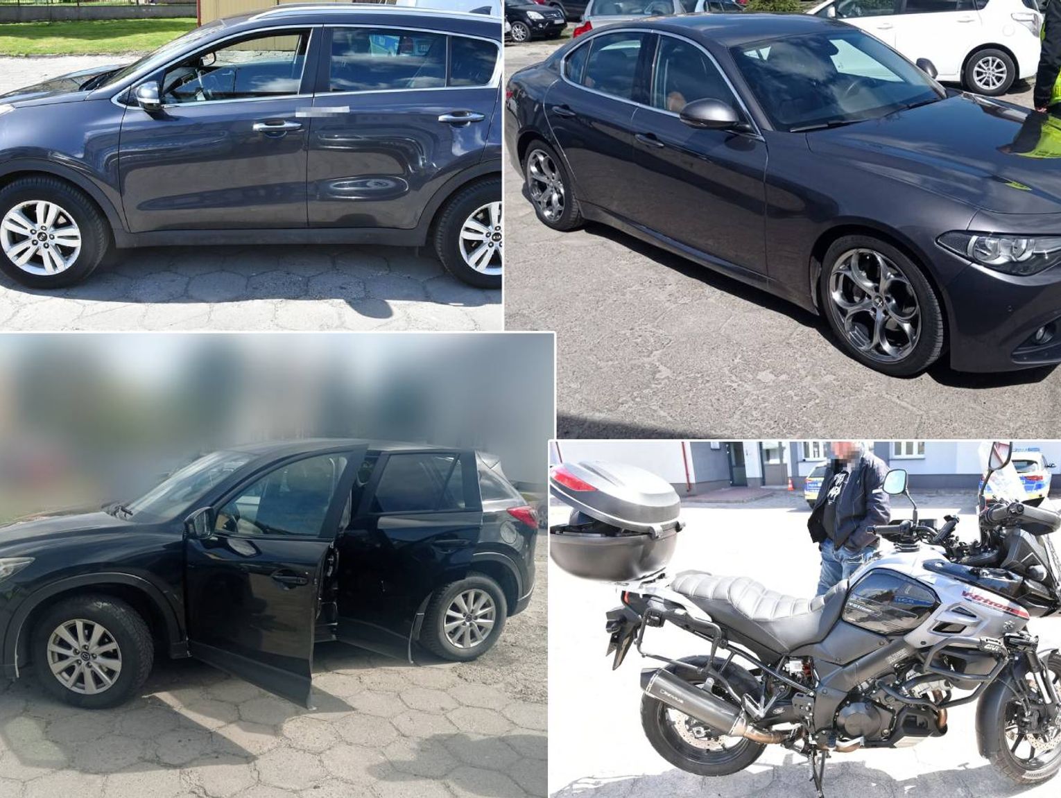 Trefne auta na posesjach mieszkańców powiatu krasnostawskiego