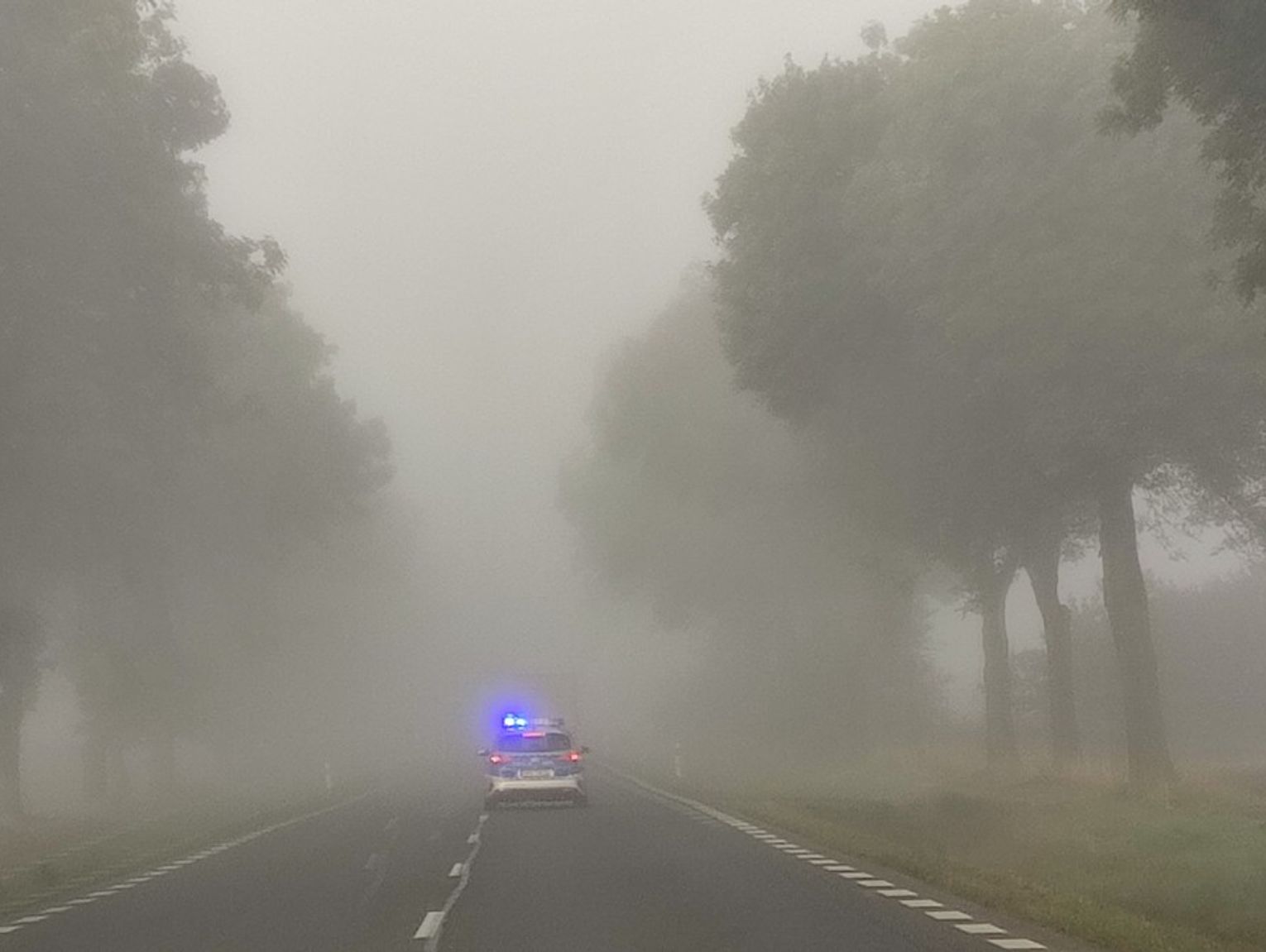 Uwaga na trudne warunki! Gęsta mgła paraliżuje drogi [ZDJĘCIA]