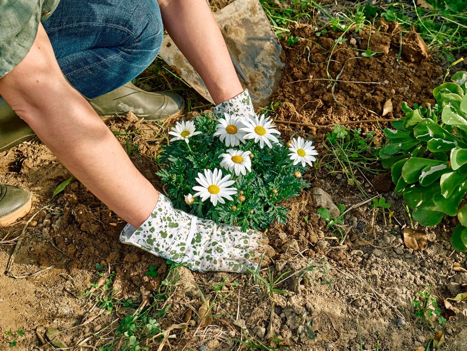 W Stawkach, Susznie i Lucie będzie ładniej przy świetlicach, w Korolówce zadbają o komfort Jerzego