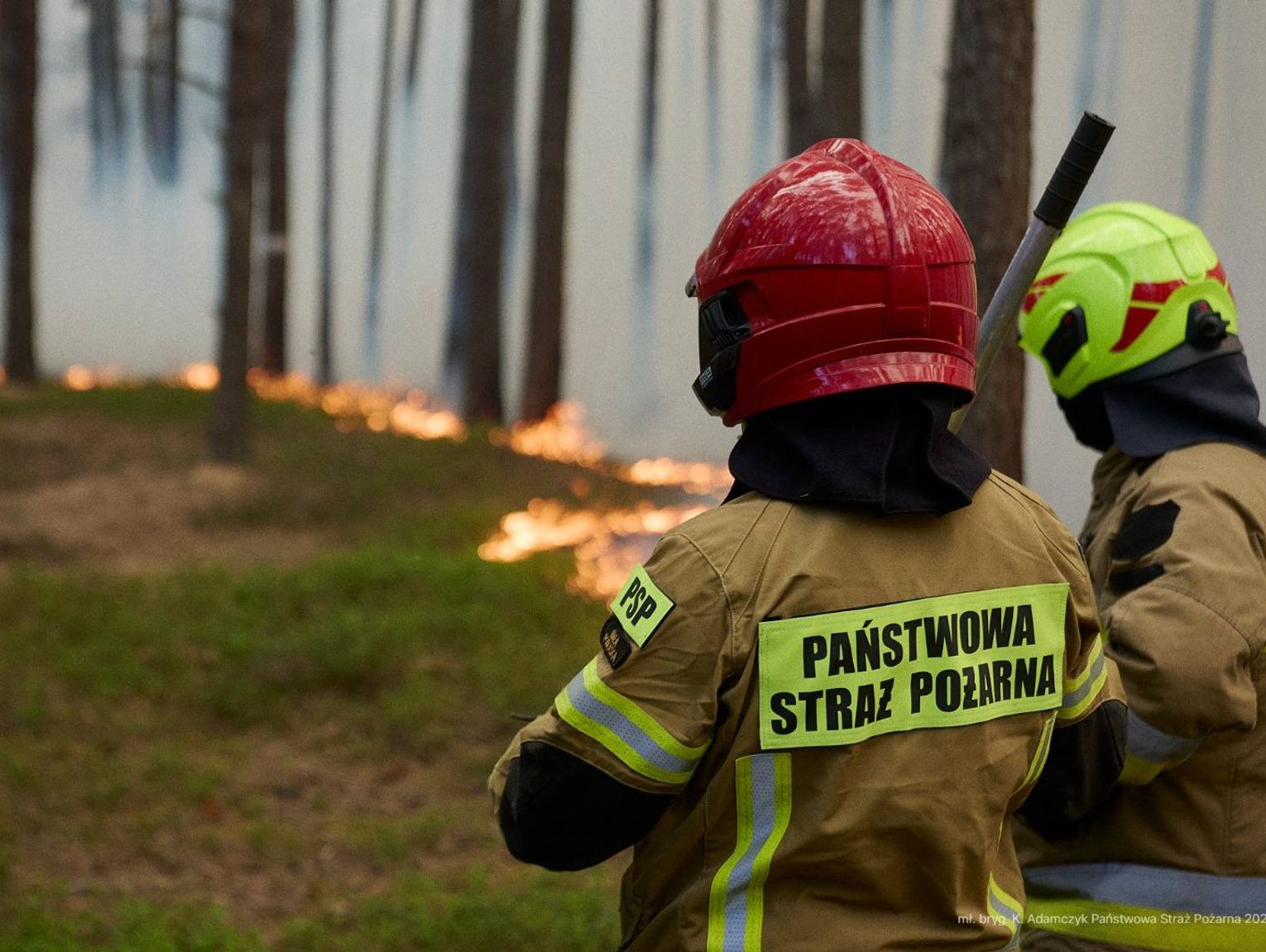 Wielka mobilizacja strażaków – już ponad 30 ratowników z powiatu chełmskiego pojechało do Puszczy Solskiej