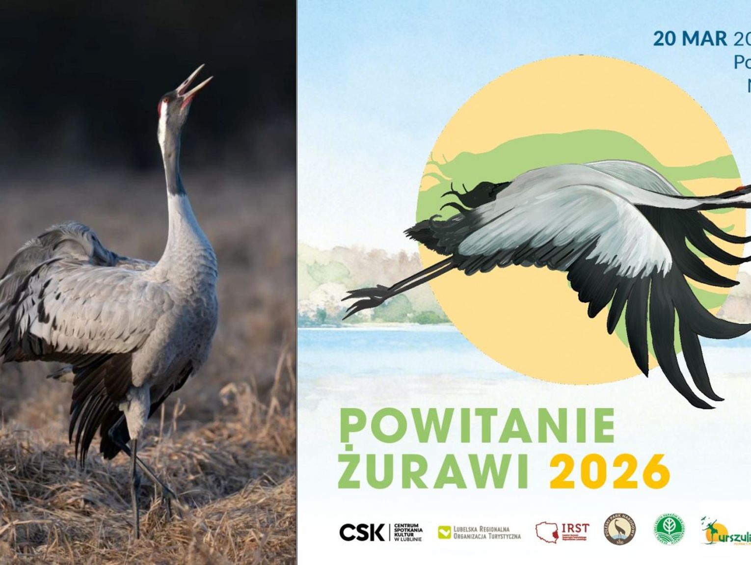 Wiosenne przebudzenie i nowe perspektywy. Powitanie Żurawi zainauguruje Markę Turystyczną Polesie
