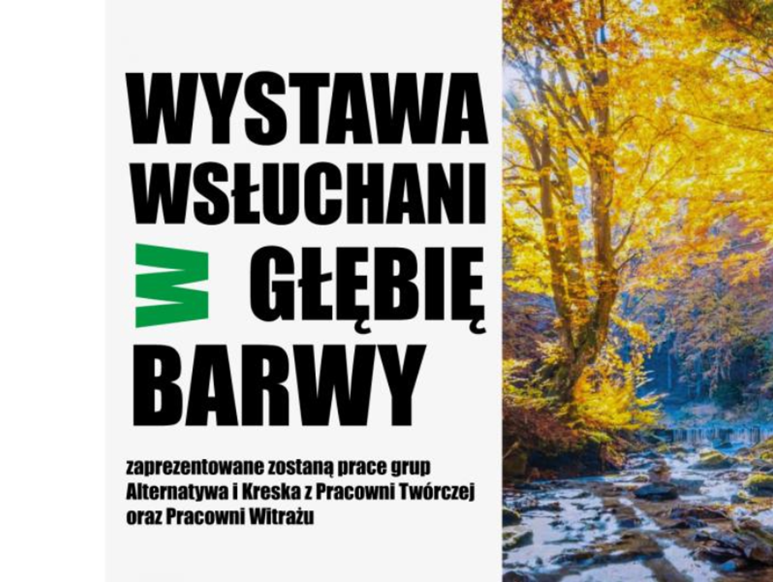 Chełm. „Wsłuchani w głębię barwy” – nowa wystawa artystów z Chełmskiego Domu Kultury