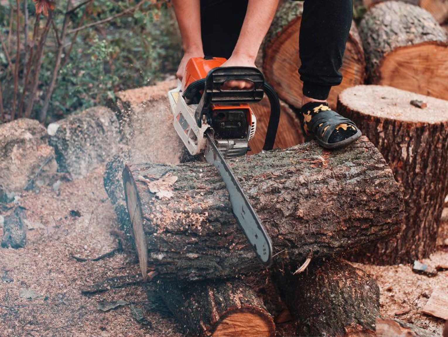 Co z wycinką drzew na swojej ziemi? Nagła zmiana planów