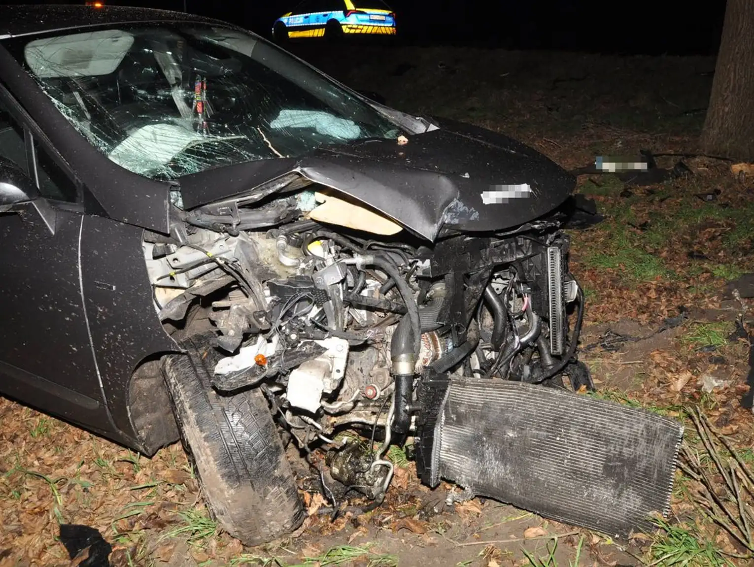 Wypadek w Zakręciu. Renault uderzyło w drzewo. Trzy osoby zabrane do szpitala