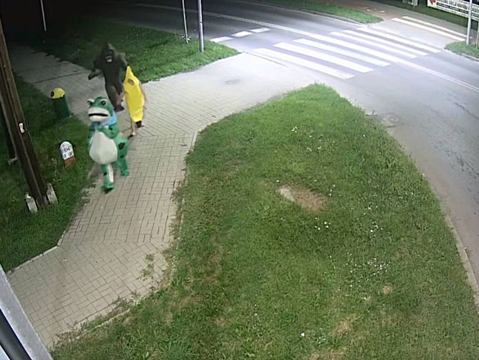 Żaba, banan i goryl na ulicach Włodawy. Niezwykłe nagranie z miejskiego monitoringu. Zobaczcie FILM