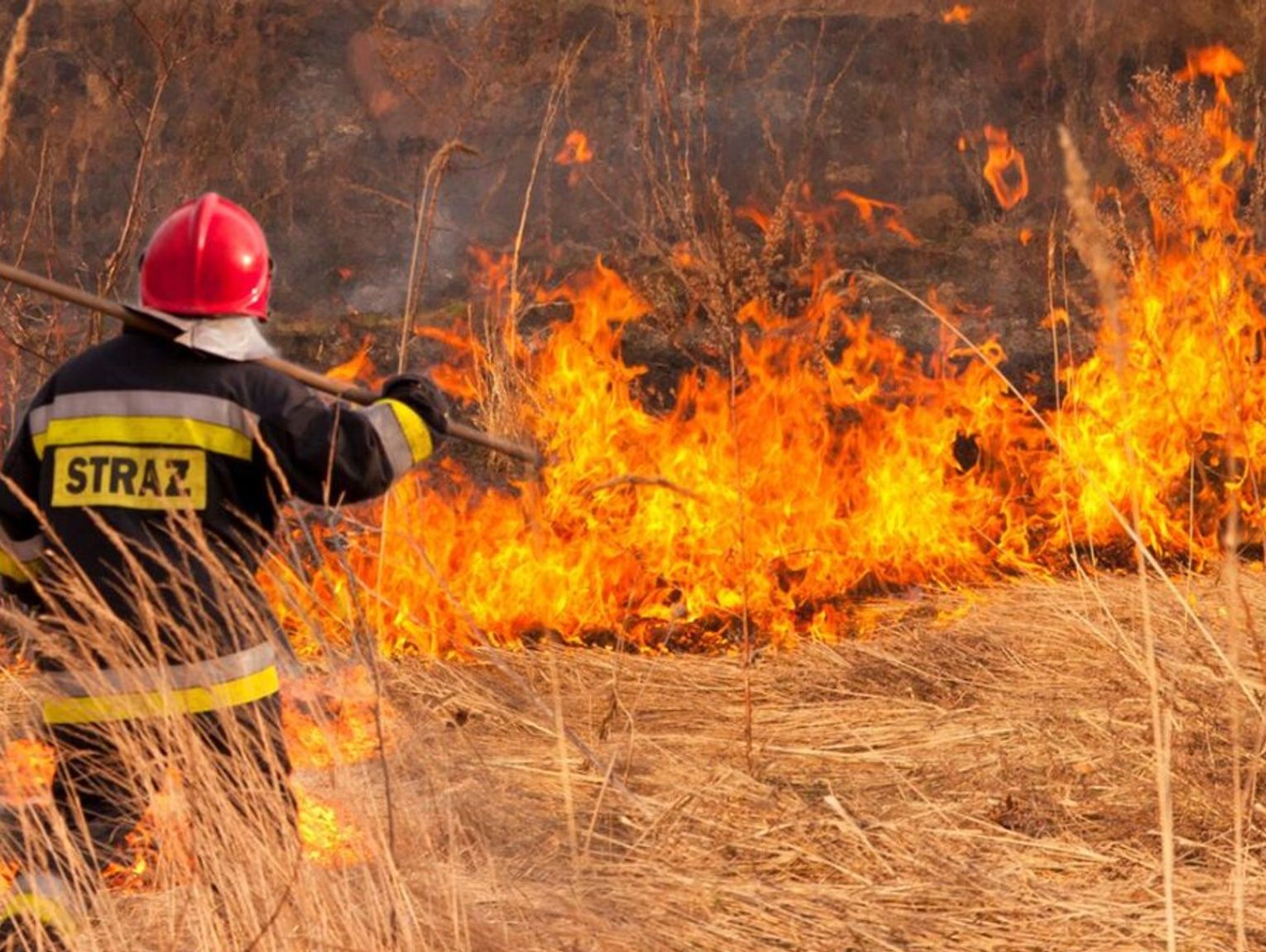 Zaczęło się wypalanie traw. Nie odstraszają nawet wysokie kary do 30 tys. złotych