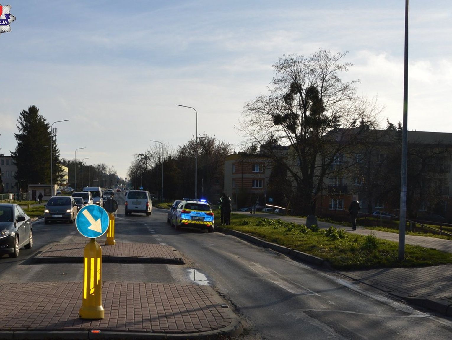 84-letni kierowca nie ustąpił i potrącił 19-latkę na przejściu dla pieszych