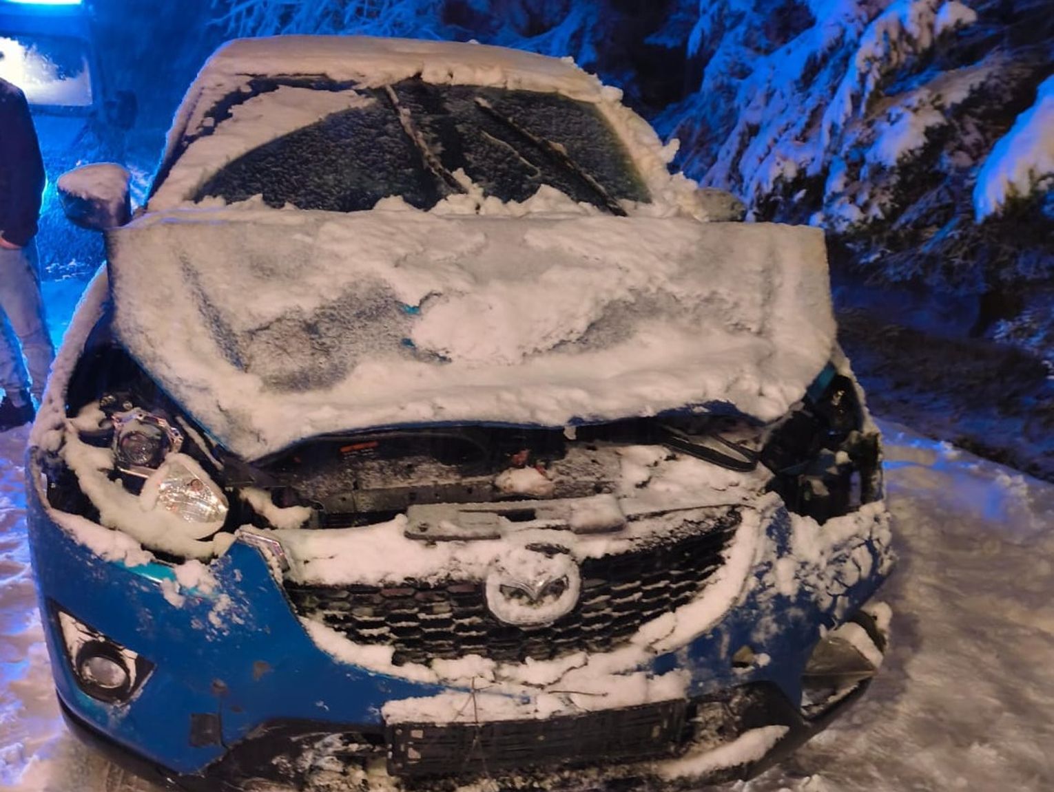 Drzewa spadły na jadące auta. Na szczęście nikomu nic się nie stało