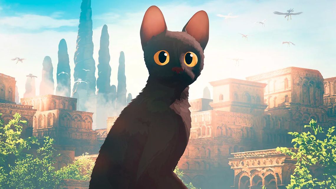 Chełm. Bajeczny "Flow" w DKF Rewers