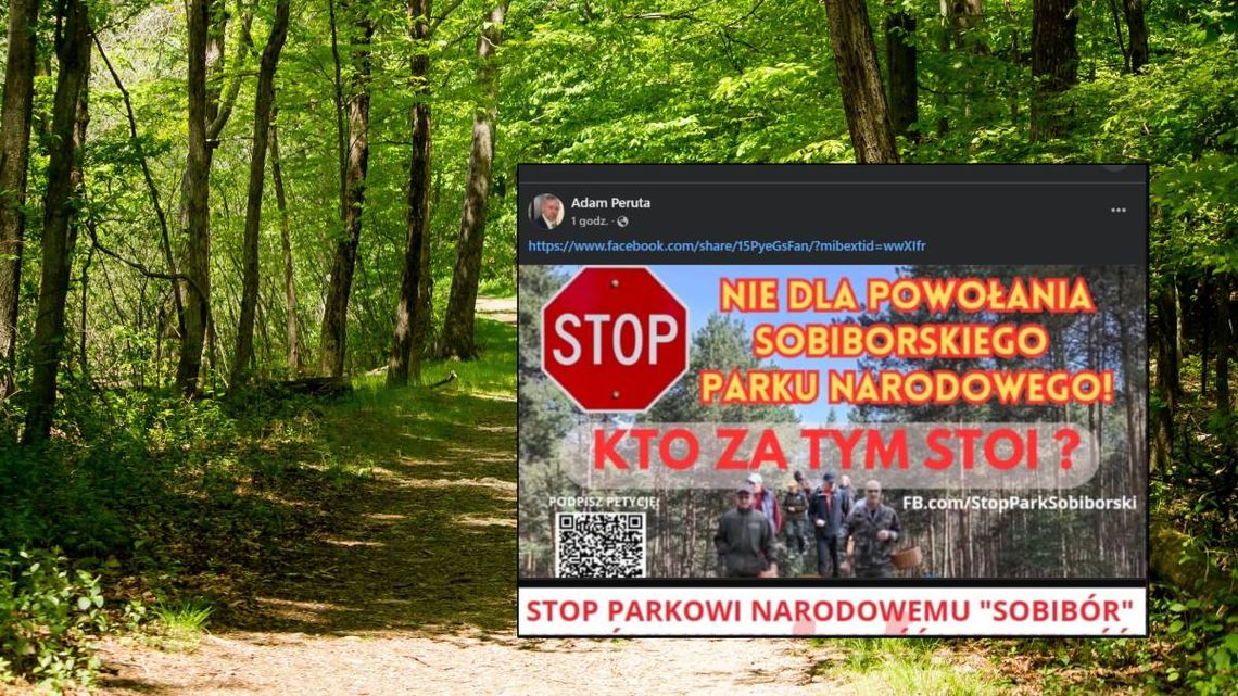 Będzie referendum w sprawie powstania Sobiborskiego Parku Narodowego? Działacz społeczny inicjuje protest